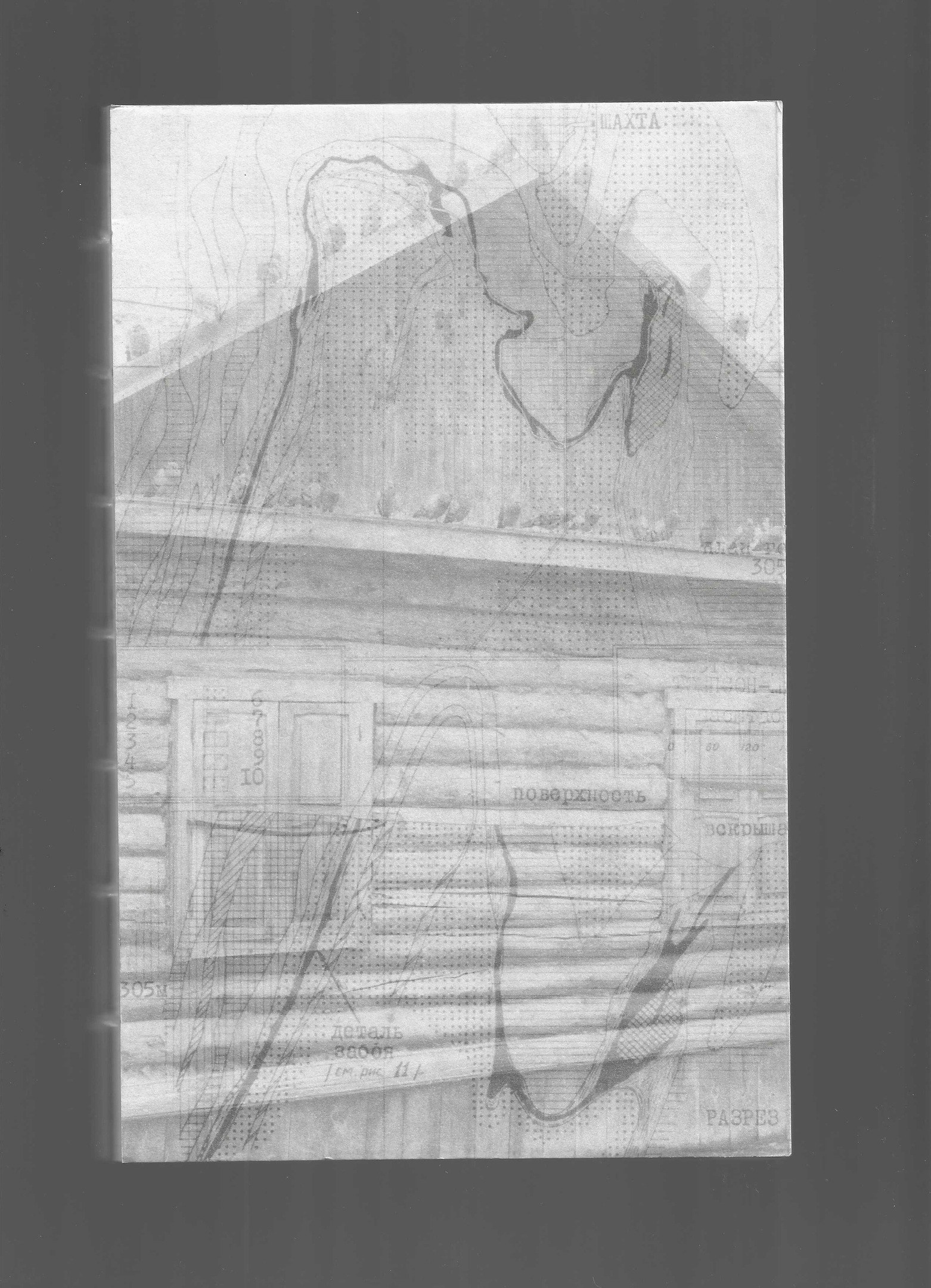 Фотокнига: Кристина Сергеева и Кристина Шкилева «Train to the Future». Самоорганизация Низина