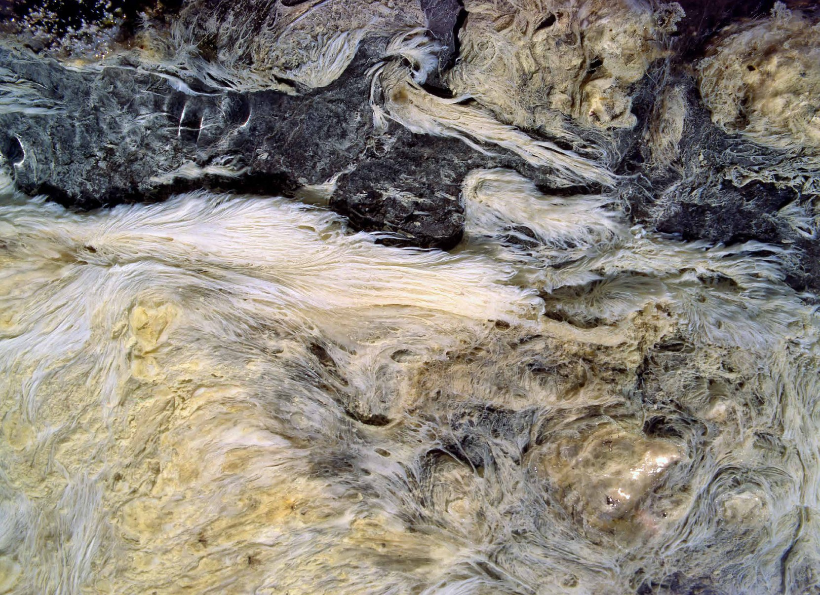 Коллекционные альбомы. ВАДИМ ГИППЕНРЕЙТЕР — ВЕЛИКИЙ ФОТОГРАФ ЗЕМЛИ РУССКОЙ