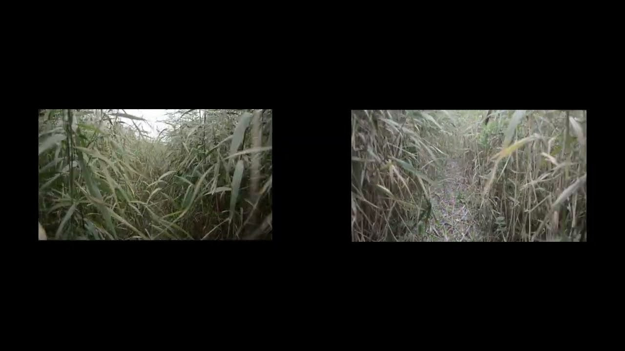 Help me to return to the places that still feel familiar. Vika Bykovskaya photography