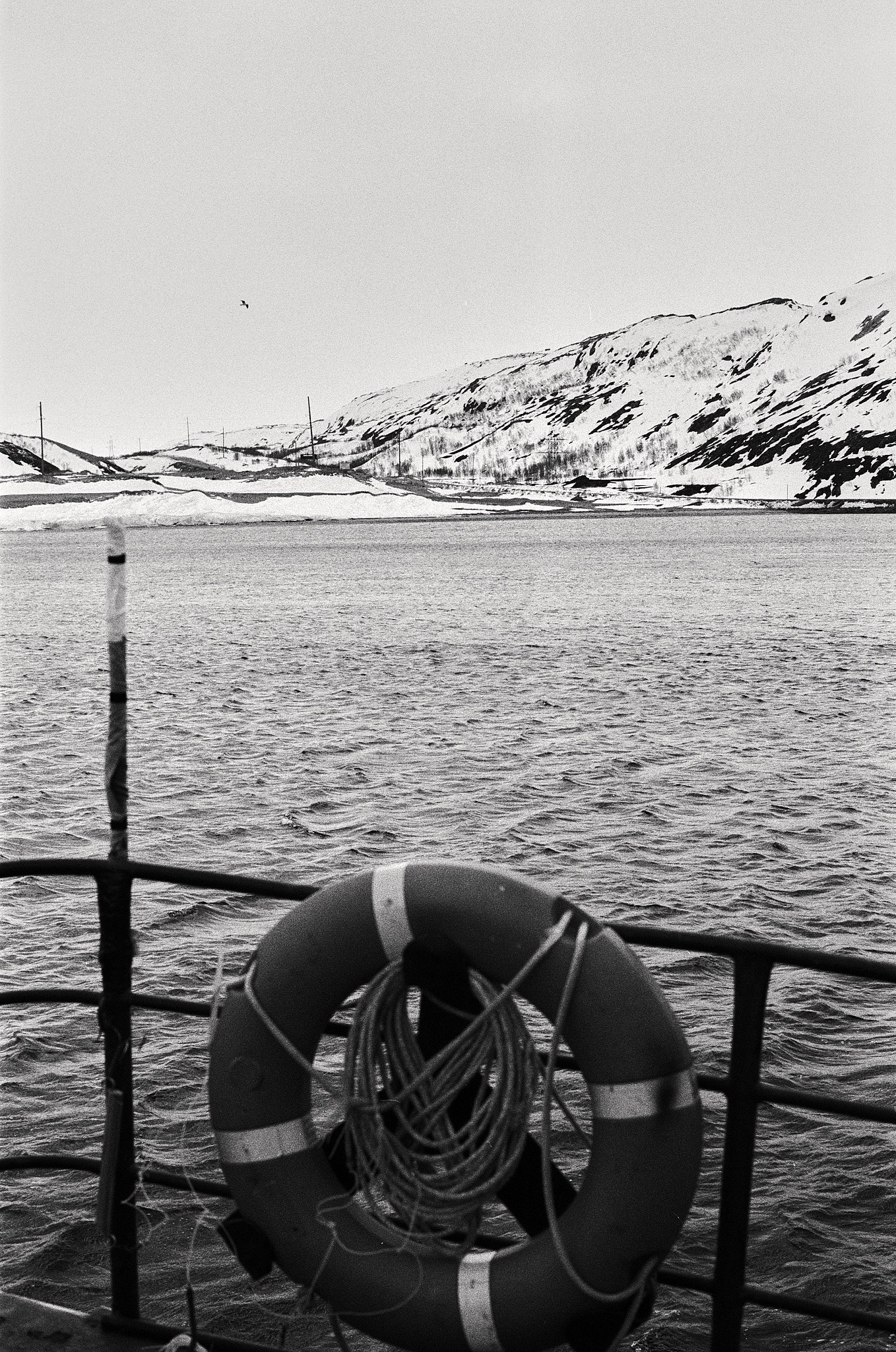 Teriberka (Murmansk). The Other Pavel Potseluev — film photography and mastery of meat business
