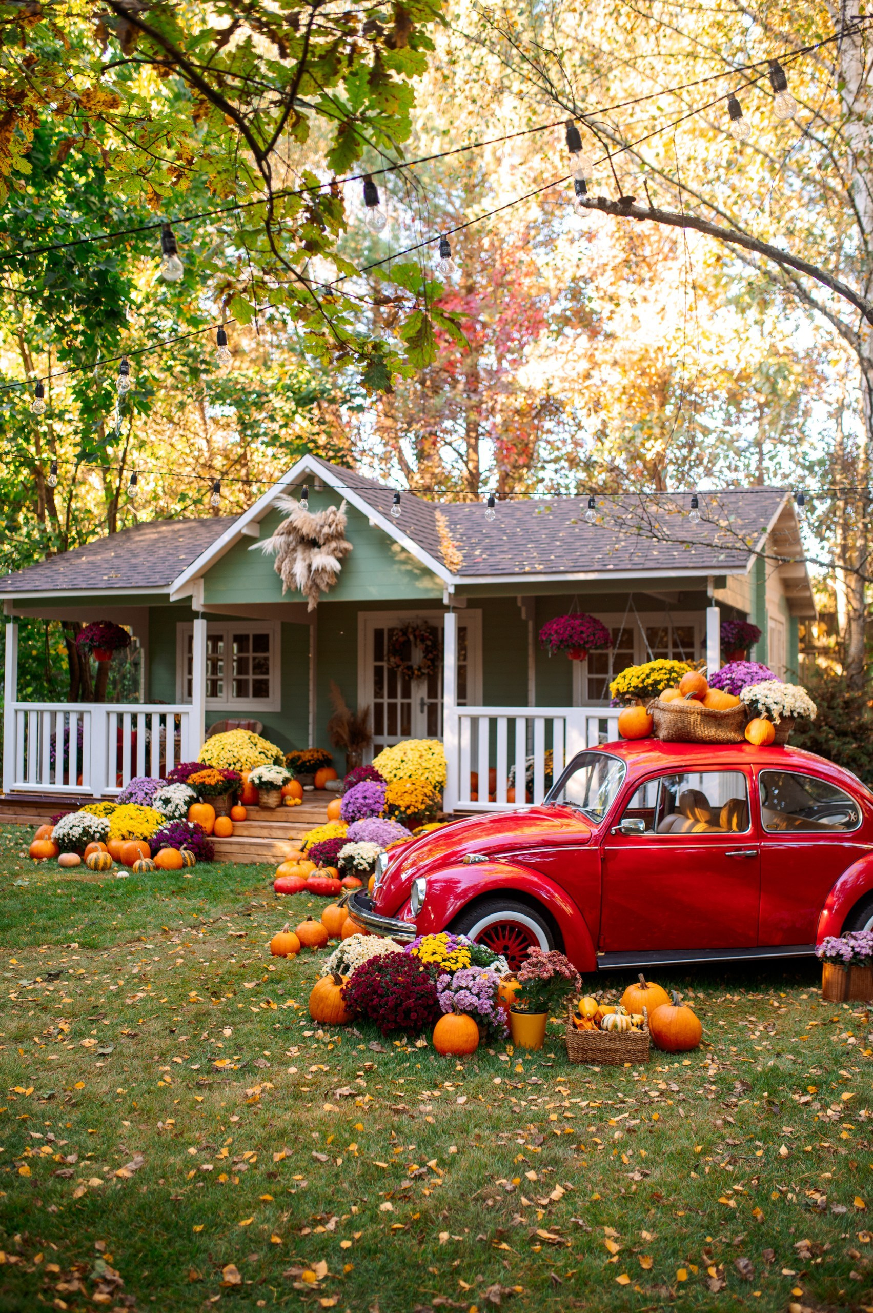 Фотосессия в ФотоДомике. Сказочный фотограф Юлиана Бевз