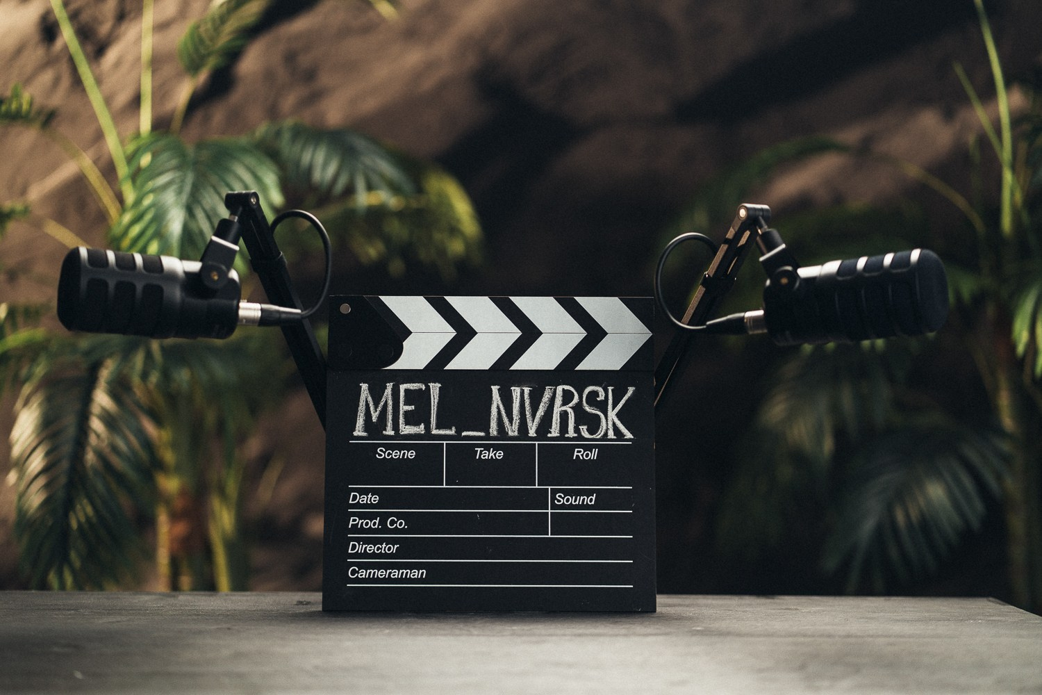 Подкасты / Reels. Фотостудия MEL Новороссийск | Подкаст-студия