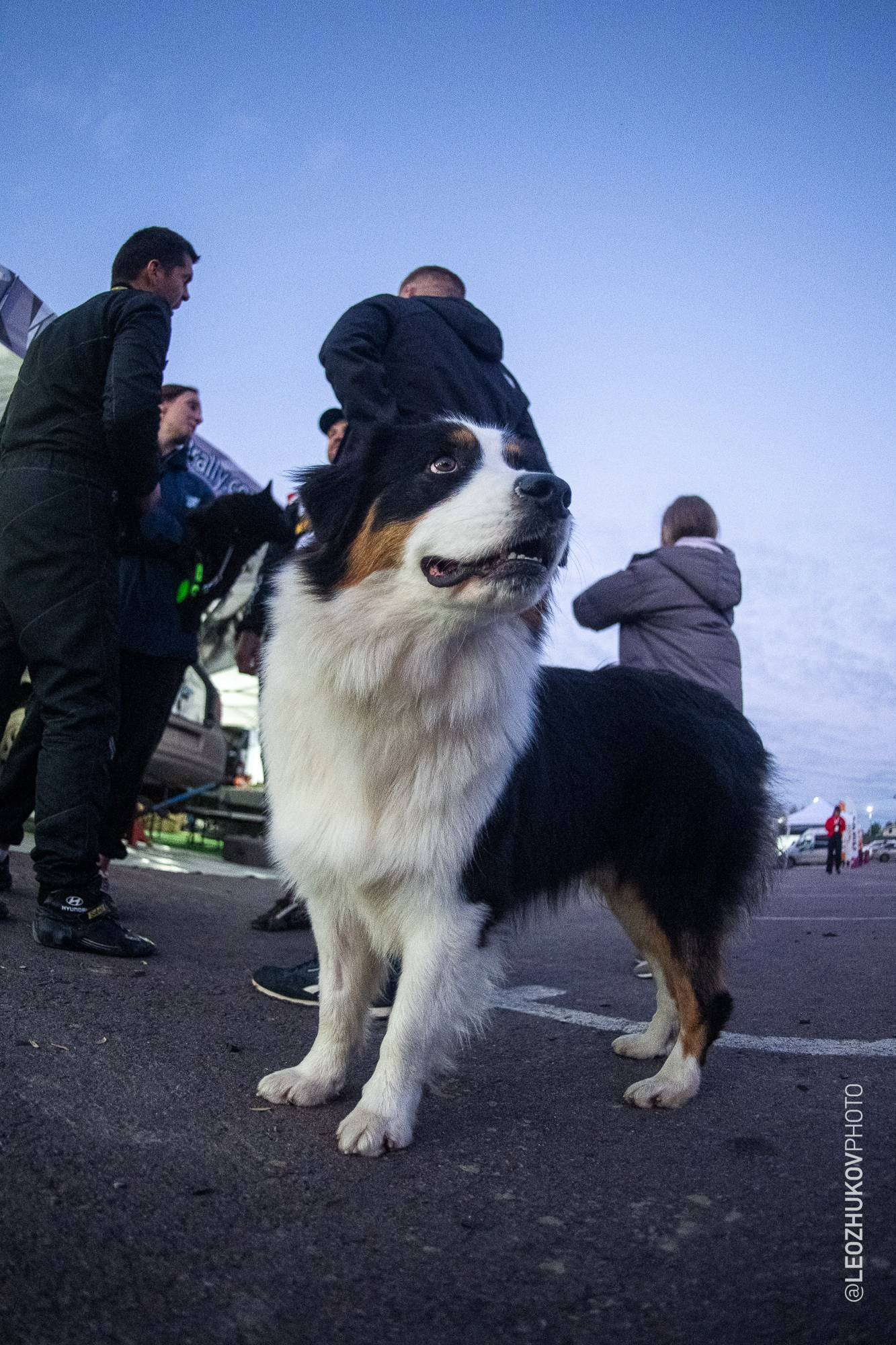 The 6th stage of Tatneft russian championships — Rally Sortavala 2026