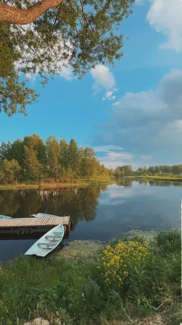 Reels. Видеограф, фотограф в Москве Мария Васильева