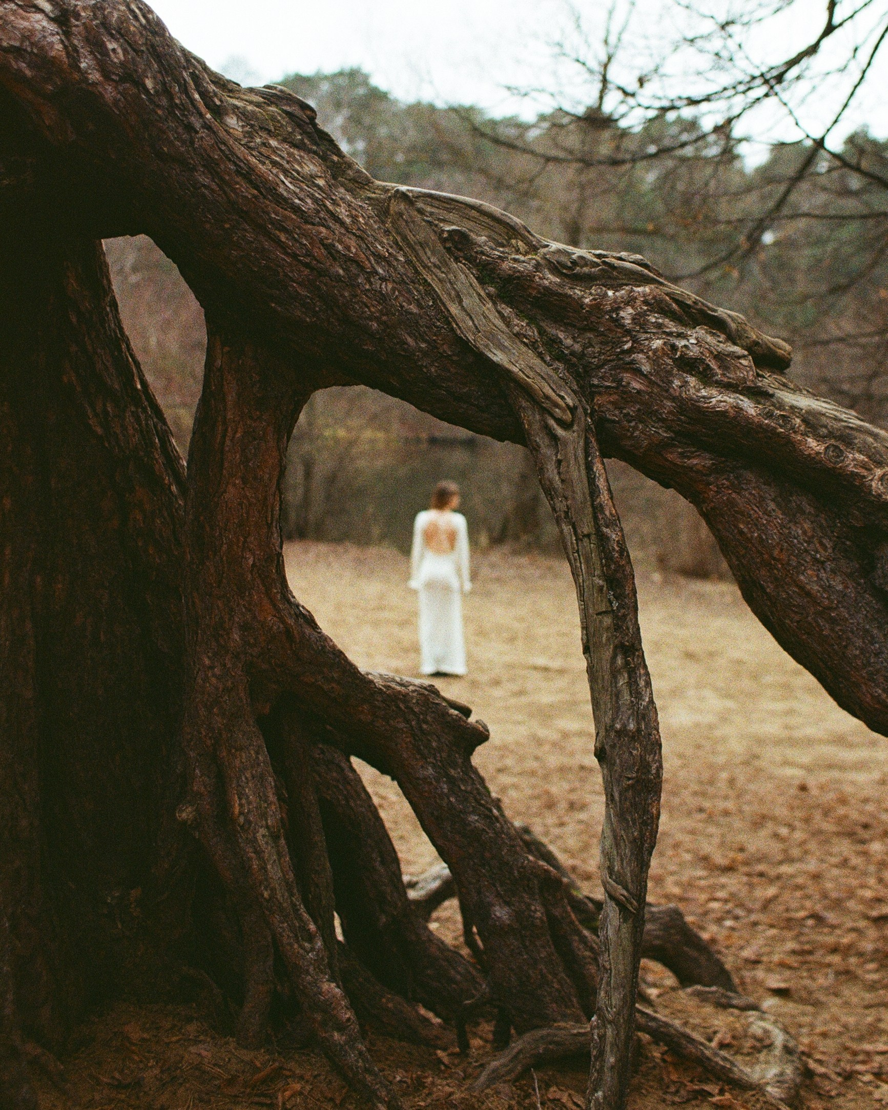 Принты. Марина Горбатова. Фотограф