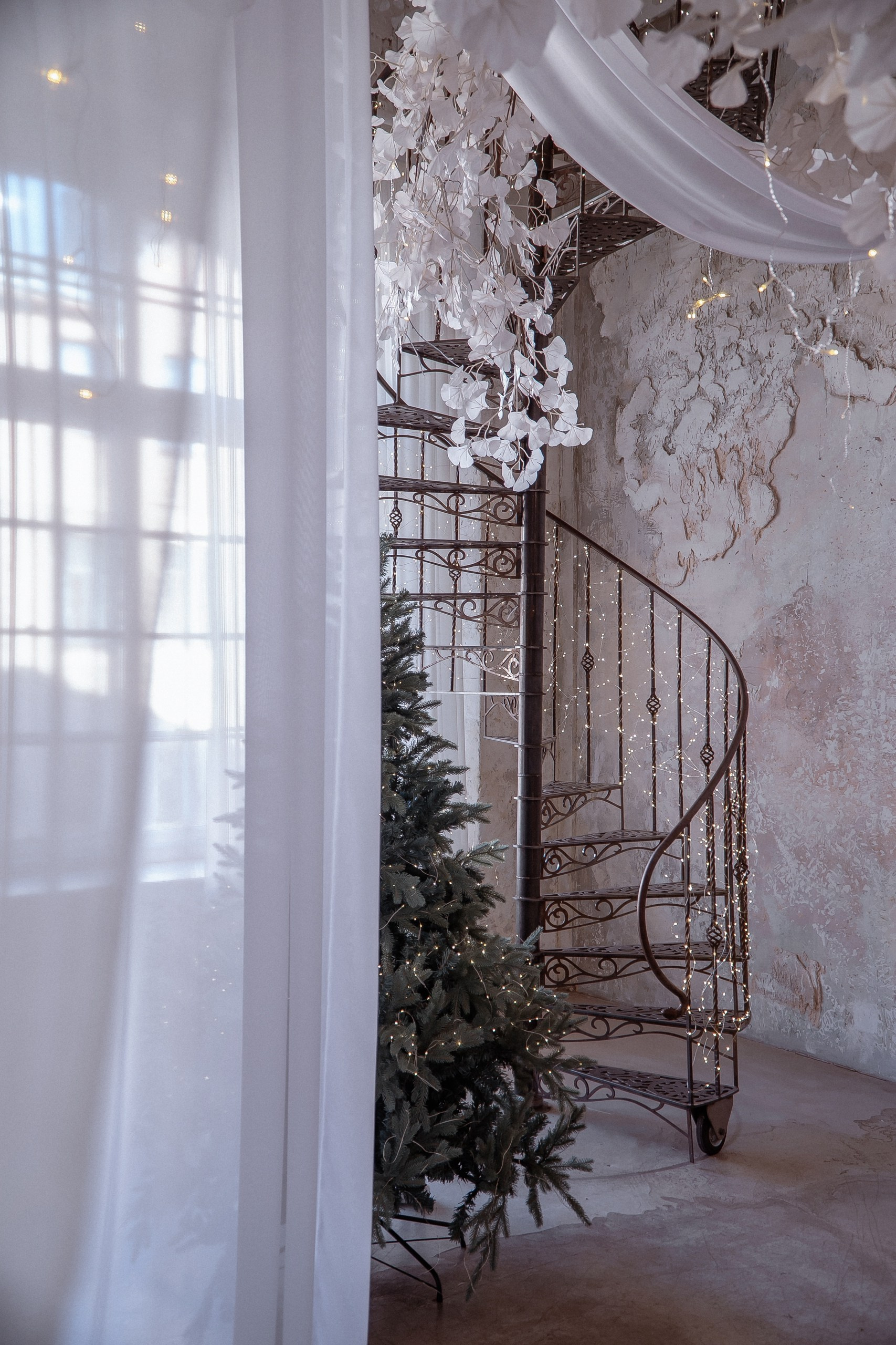 Фотодень «Душа Балета» Санкт-Петербург. Балетный фотограф Алина Ханько — Душа Балета