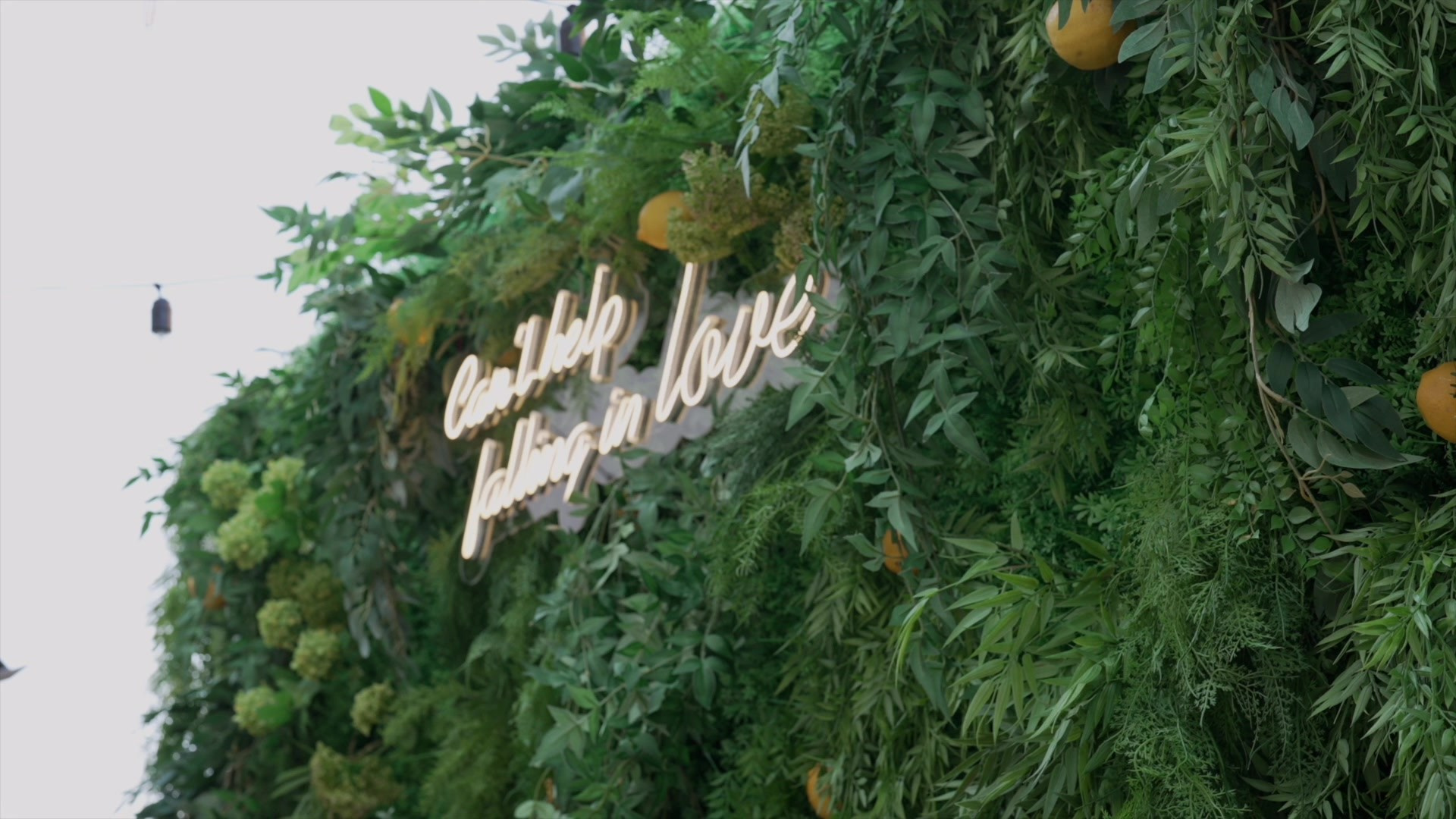 Свадебная Сьемка. PROmedia