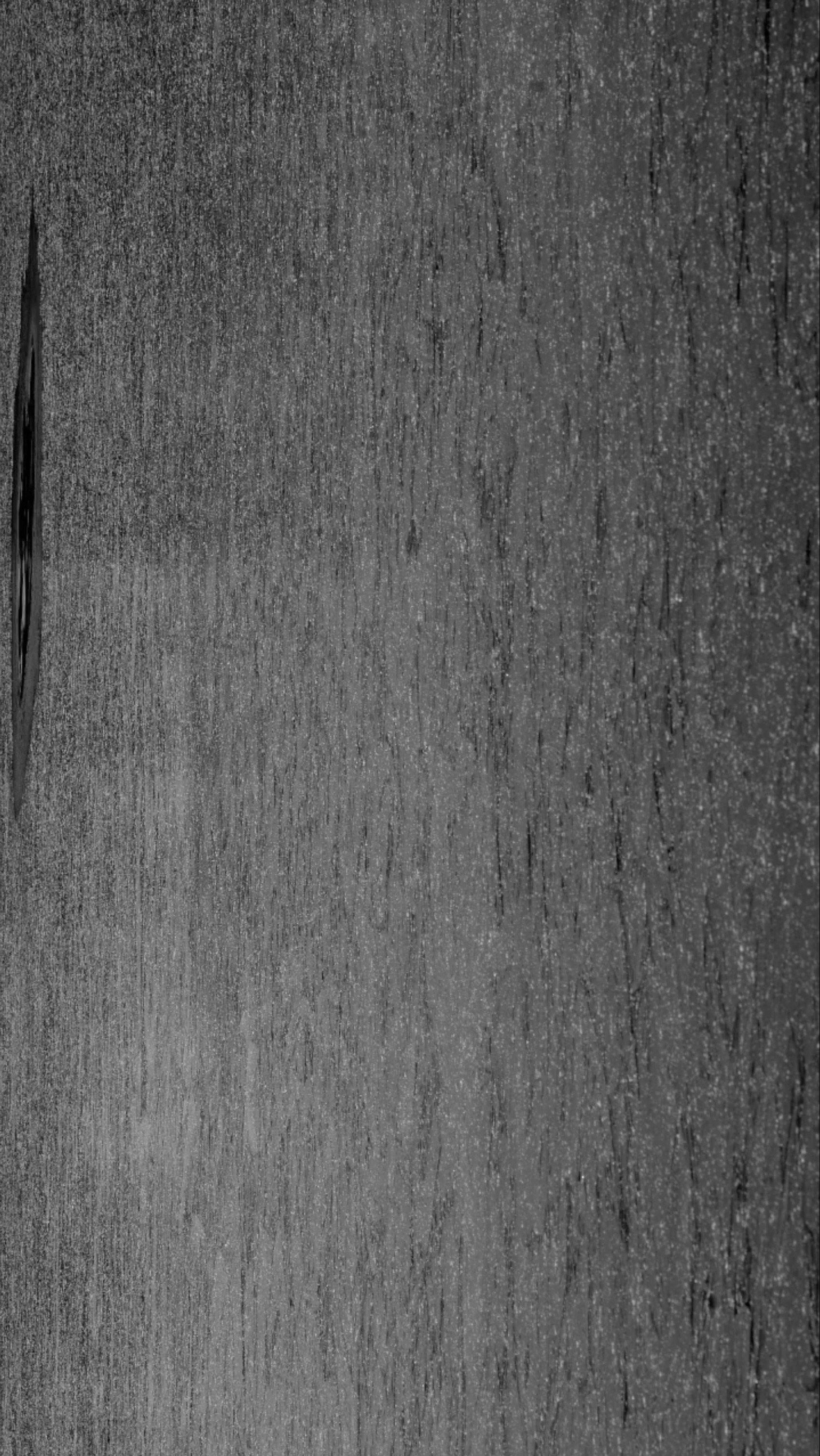 Нежные бабы. Что мне делать, чтобы земля оставалась на месте. Художественная группа «Нежные Бабы»