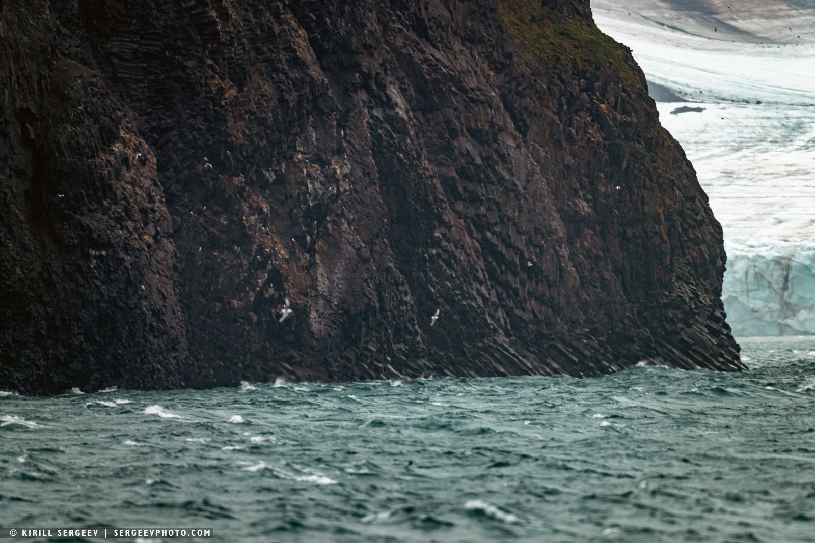 北極奧德賽. 攝影師 基里爾·謝爾蓋耶夫 |莫斯科