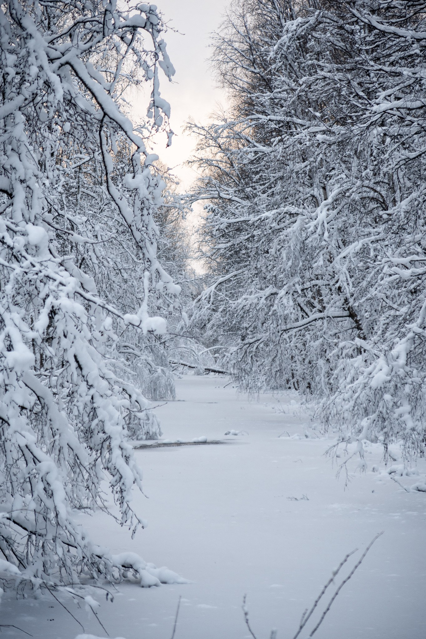 Новогодняя поездка в Санкт-Петербург. Павел Шарапов | Фотограф | Москва