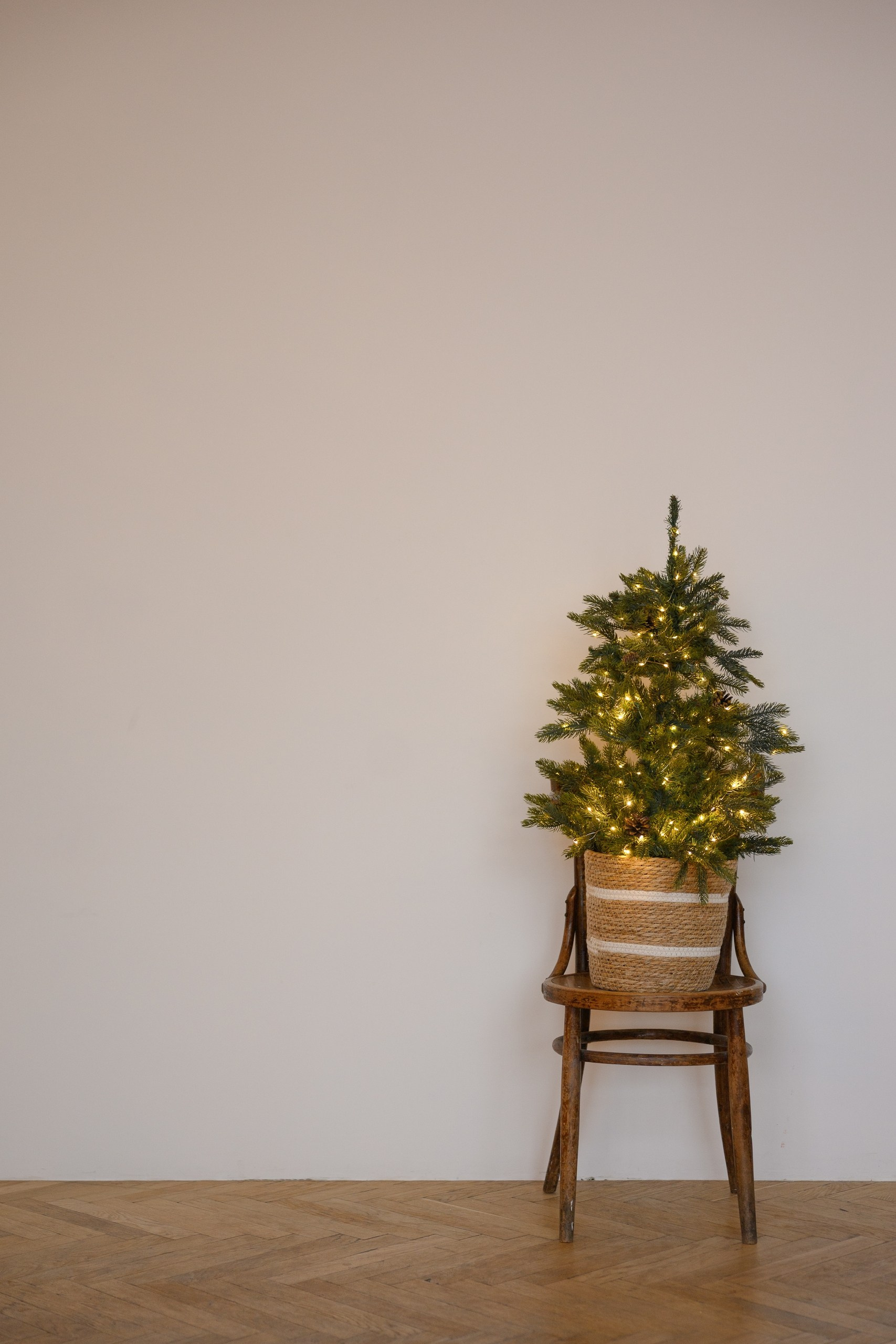 Фотостудии. Свадебный и семейный фотограф в Туле Анастасия Чаликова