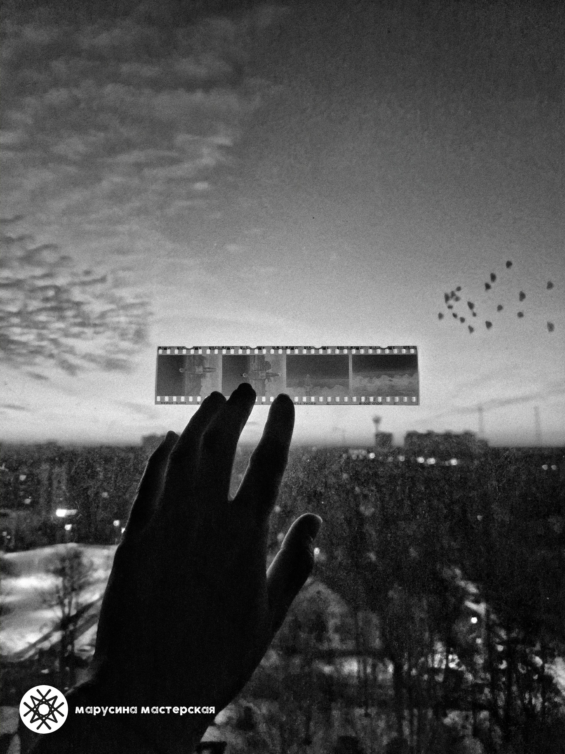 Авторская фотография участницы практикума «Метафорическая фотография» — Ольга Ревина