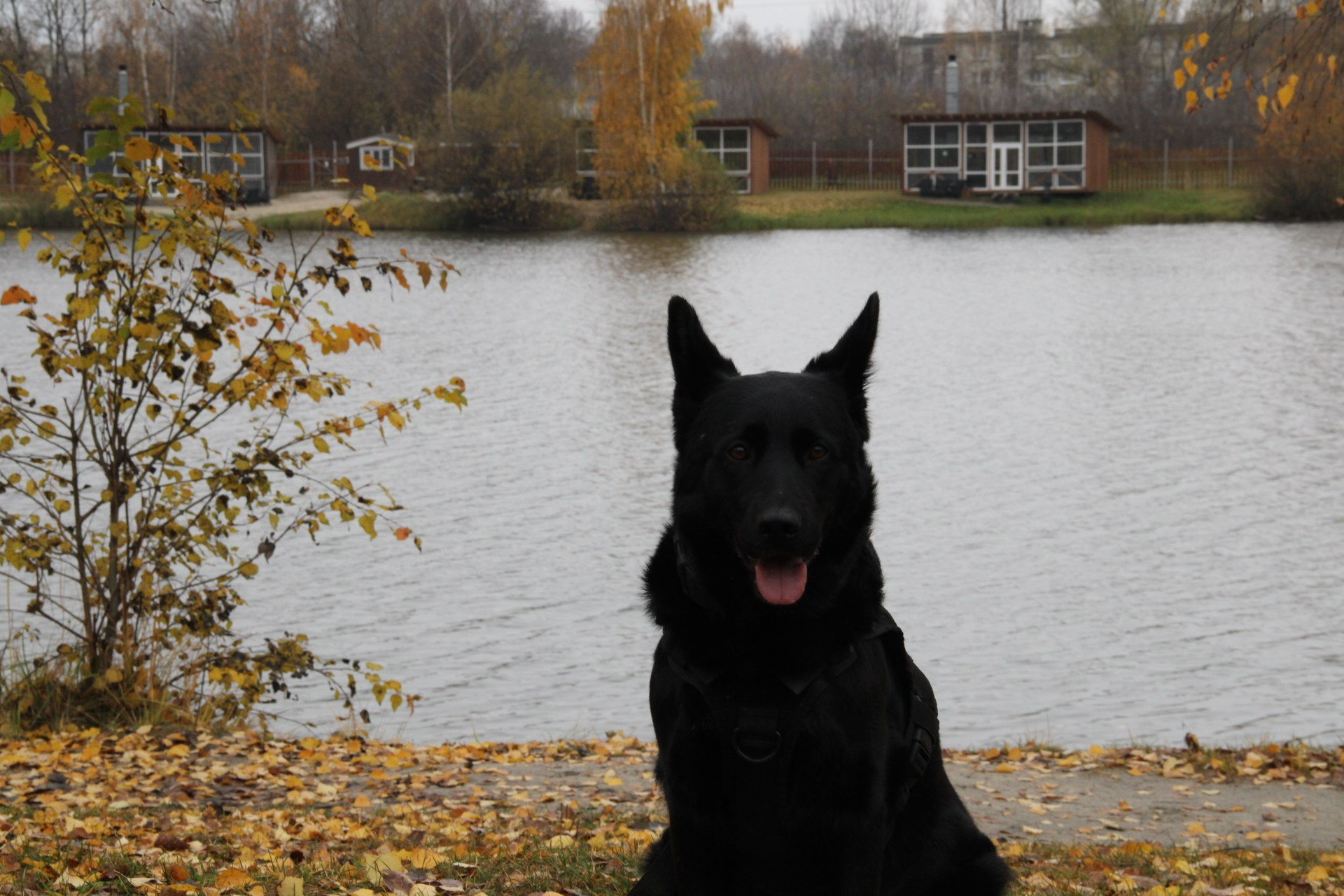 Катя Попова|ЛайфСтайл фотограф