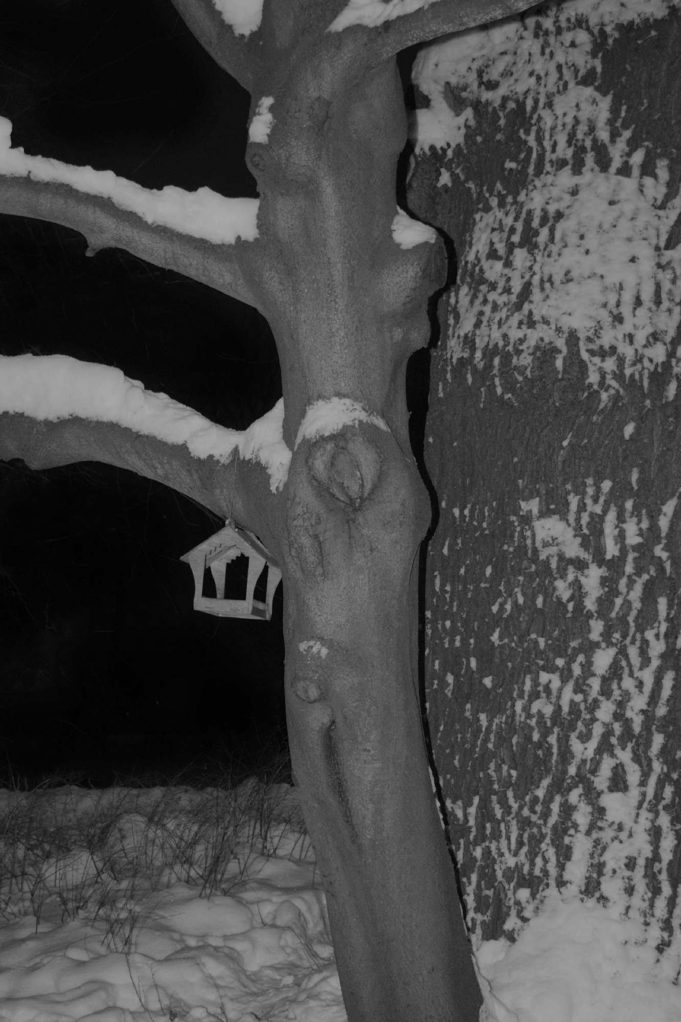 When you leave us, I'll live in your room. Maria Pilkevich