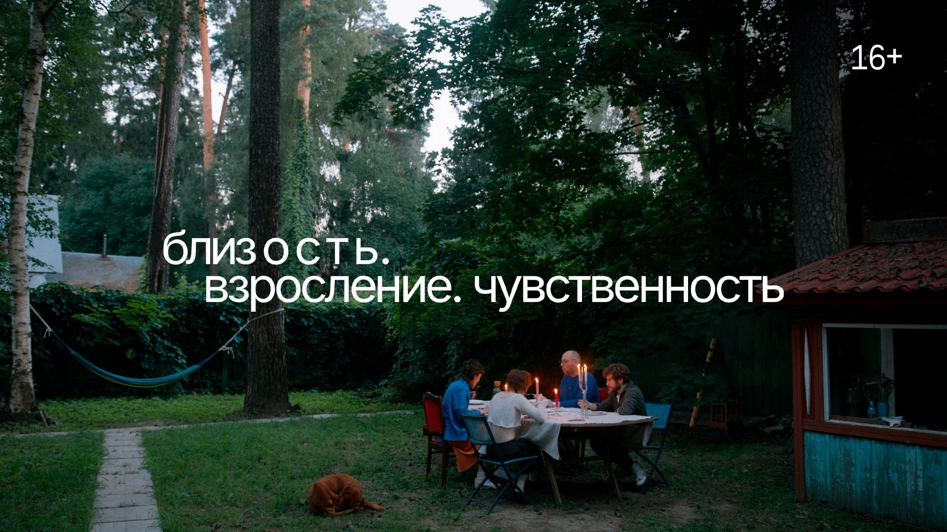 2024 БЛИЗОСТЬ. ПОКОЛЕНИЕ «Я». Дарья Каширина