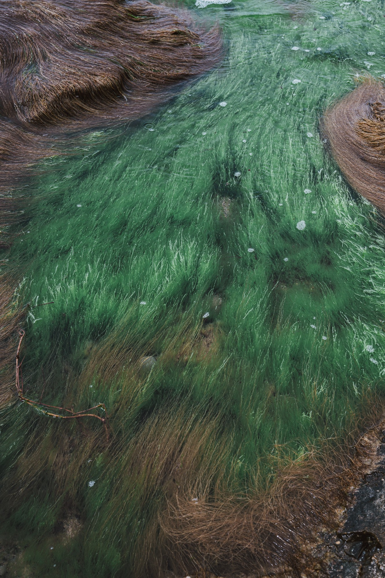 Визуальные заметки