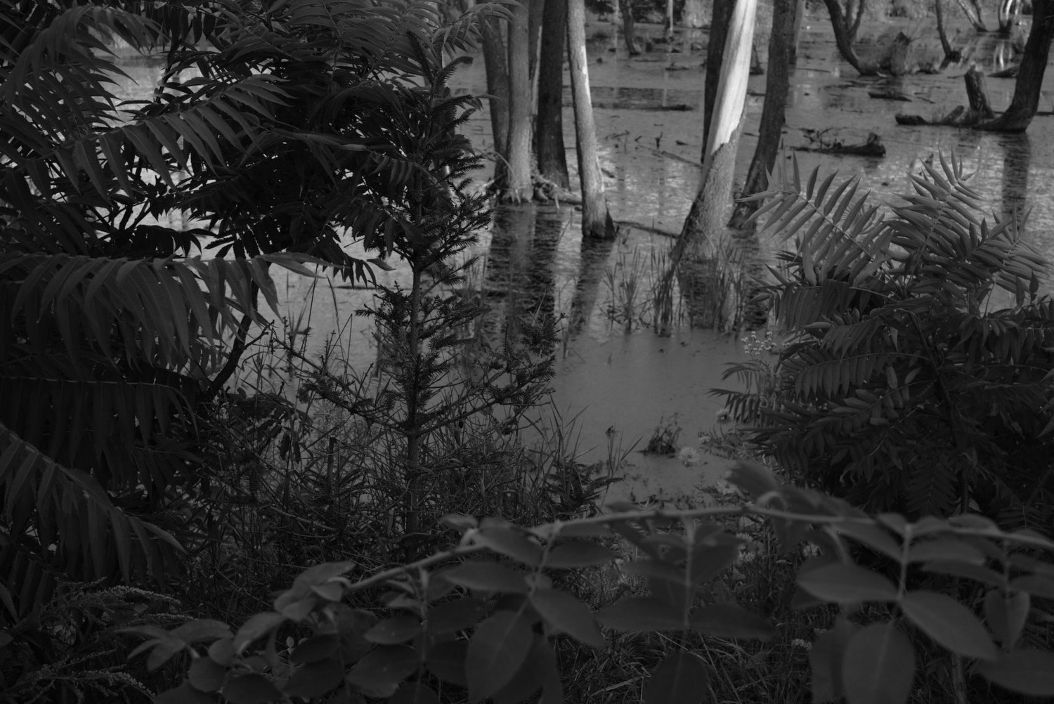 Непокорённая земля. Пылина Ирина — современная фотография