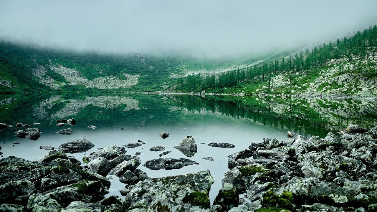 Видеоарт выставки Новосибирск Москва. Фотограф Видеограф в Новосибирске. Топовый профессиональный контент