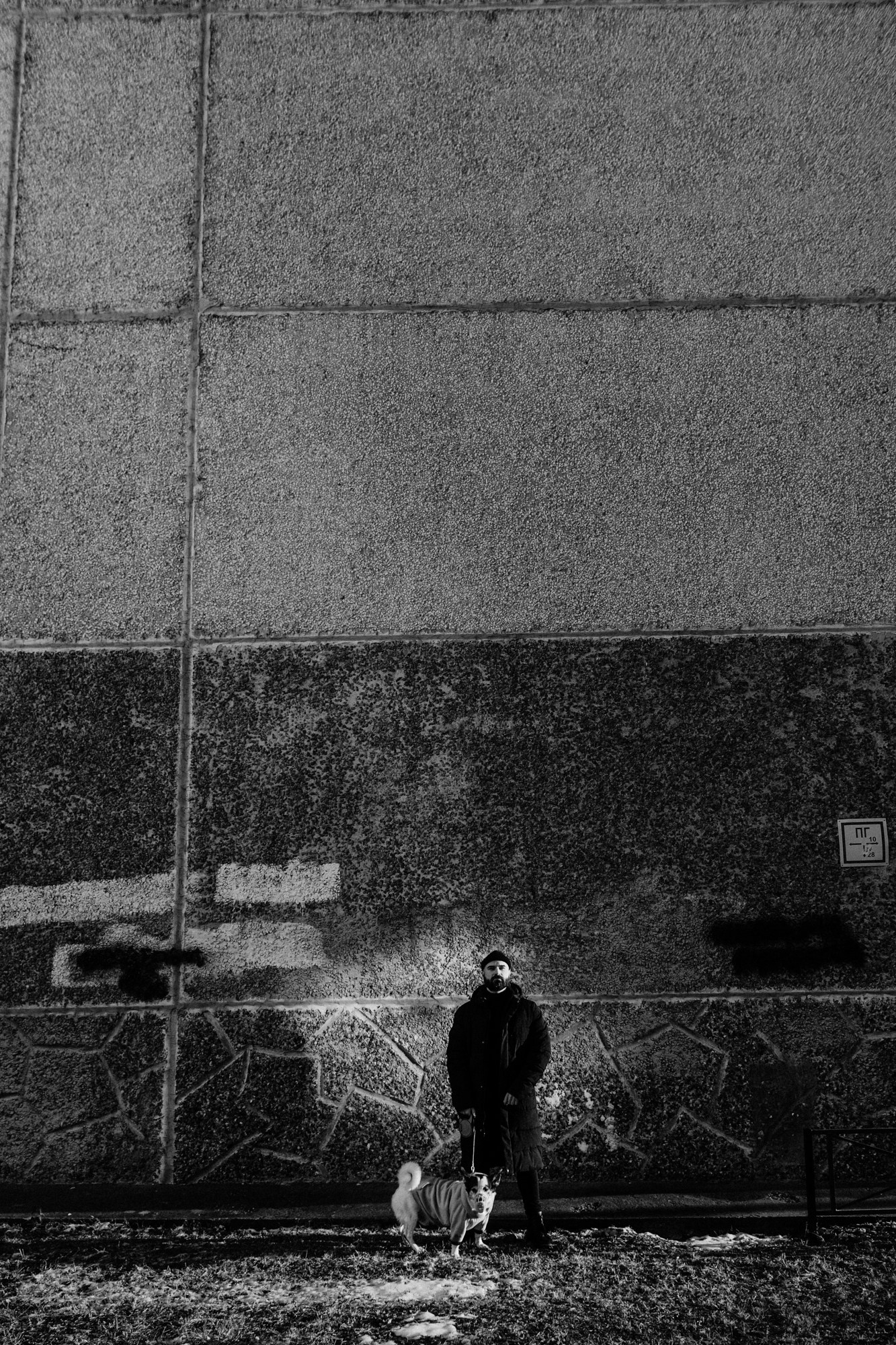 Мужская фотосессия с собакой в Тюмени — Саша и Тони. Фотограф Дарья Мустафина, Тюмень