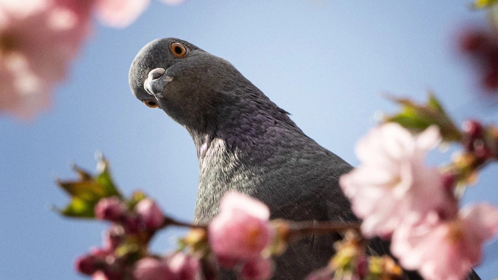 Елена Гонтаренко — художественный портрет. Фотограф в России, Семейный фотограф, репортажный фотограф, детский фотограф, портретный фотограф, контент фотограф, универсальный фотограф
