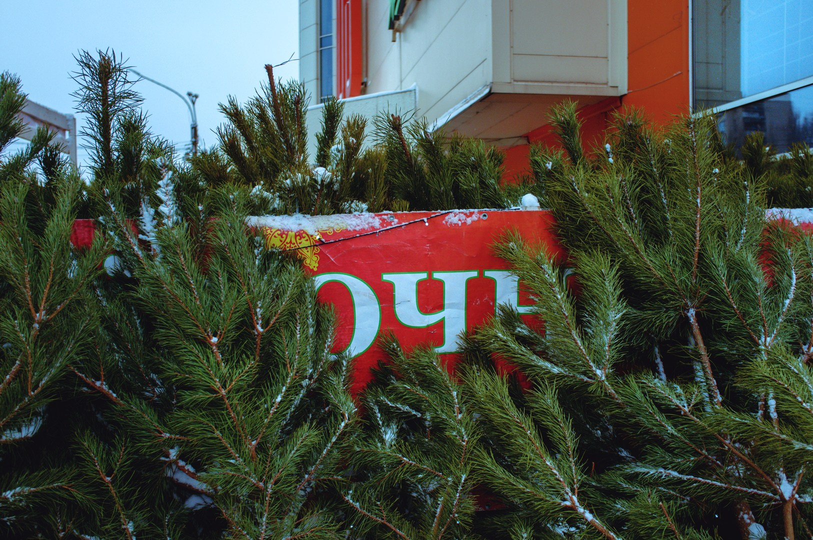 Зима уходящая. Руслан Шувалов (поэтограф)