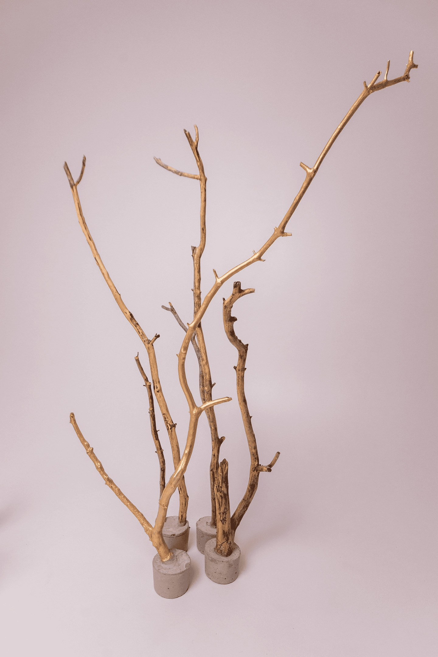 Фотостудии г.Липецк. Фотограф Екатерина Лёвушкина