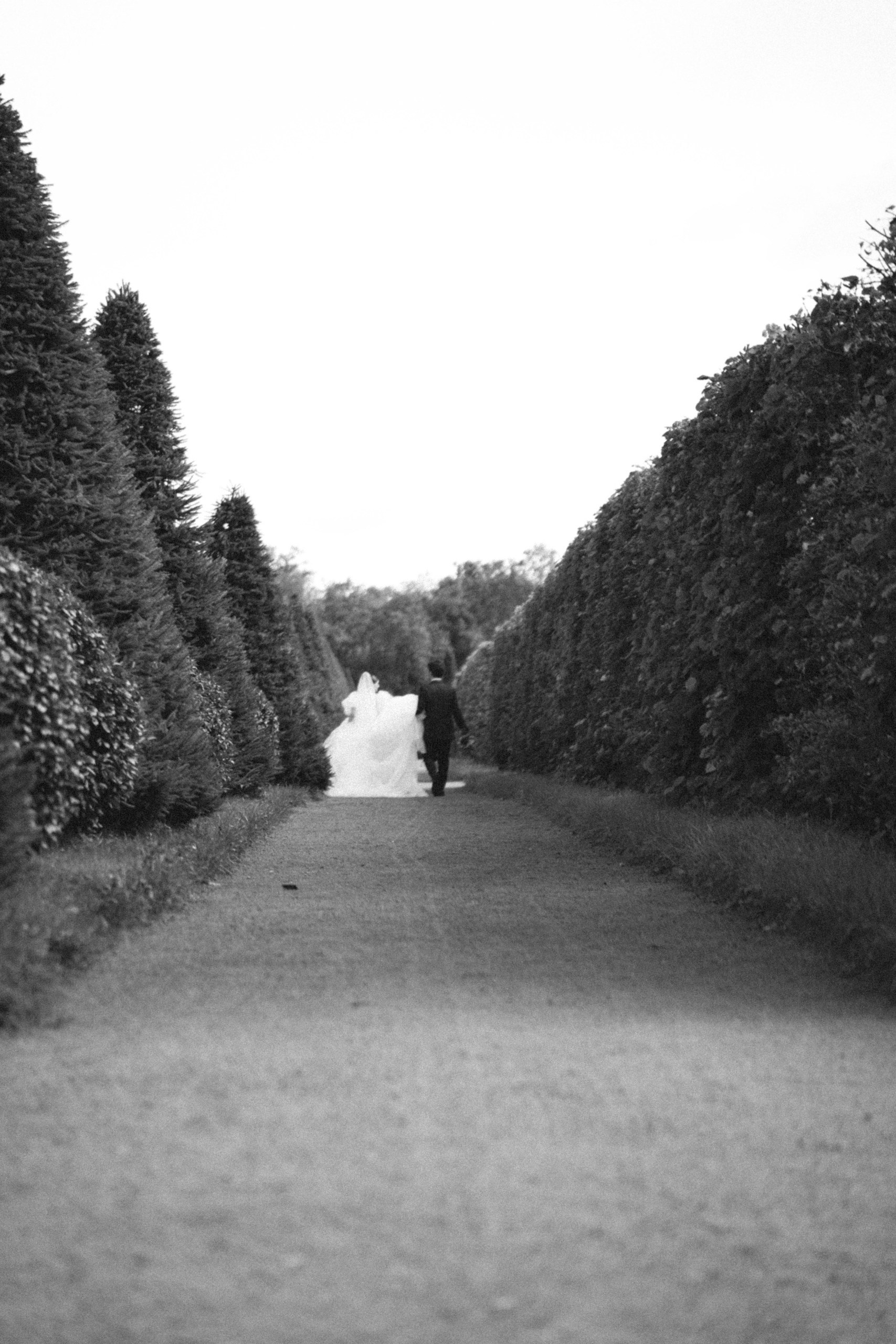 Свадебная фотосессия СПб, Сочи и Красная Поляна — сделать свадебную фотосессию