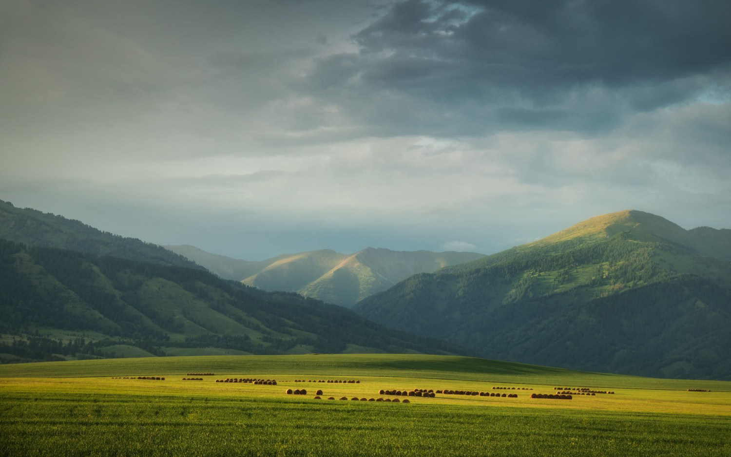 Лето в Горном Алтае. Профессиональный пейзажный фотограф Алёна Рубан