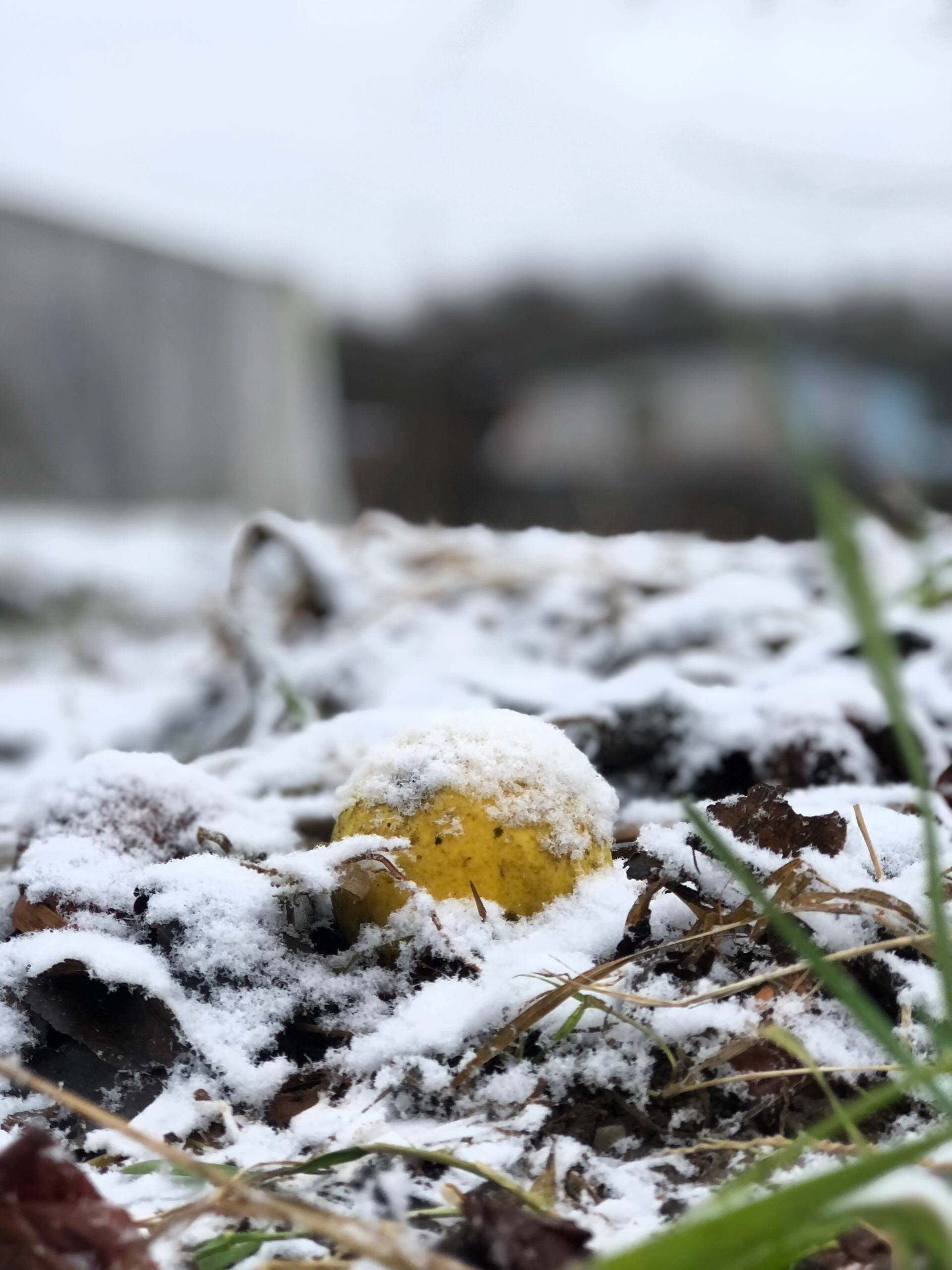 Дом на продажу № 2 #1. DRONBERRY — Аэросъемка Ярославль