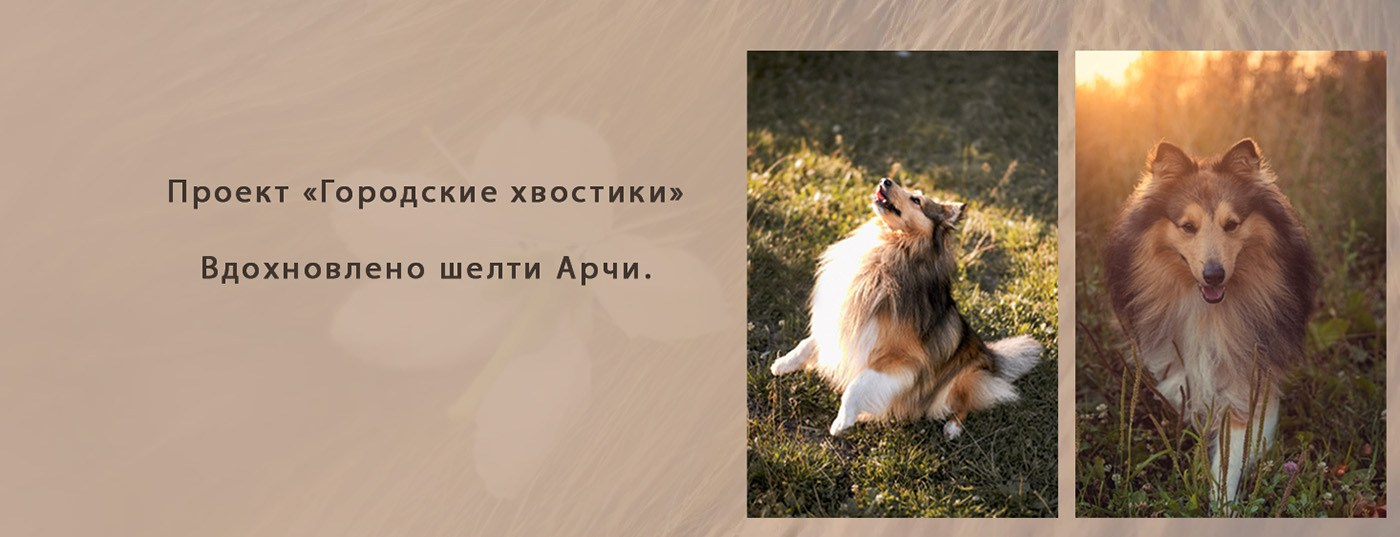 Фотограф Екатерина Попова |Семья и питомцы|НН и Дзержинск
