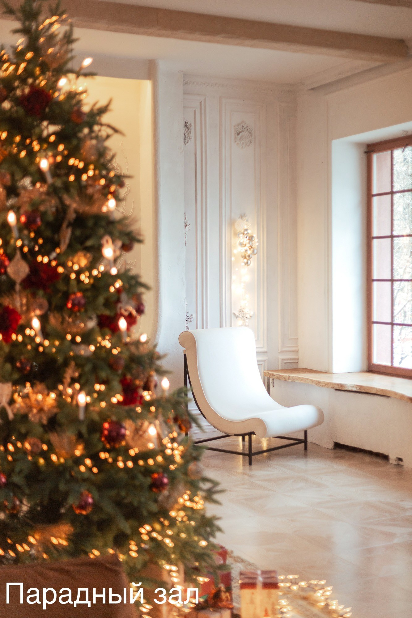 Фотостудии. Евгений Щетников Фотограф-Тюмень