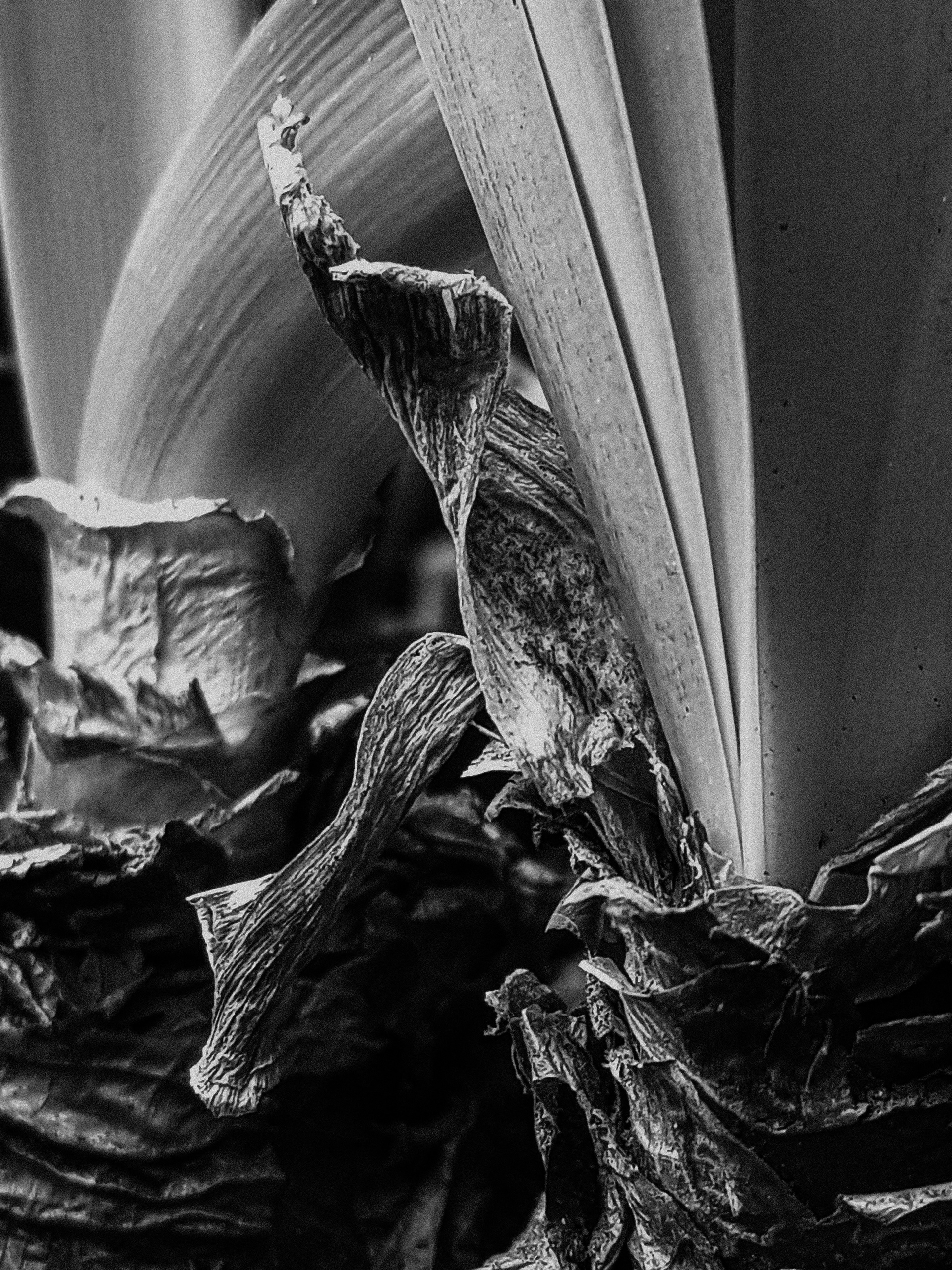 Тренируем мозг. Ирина Чайка. Профессиональный фотограф и наставник экспертов