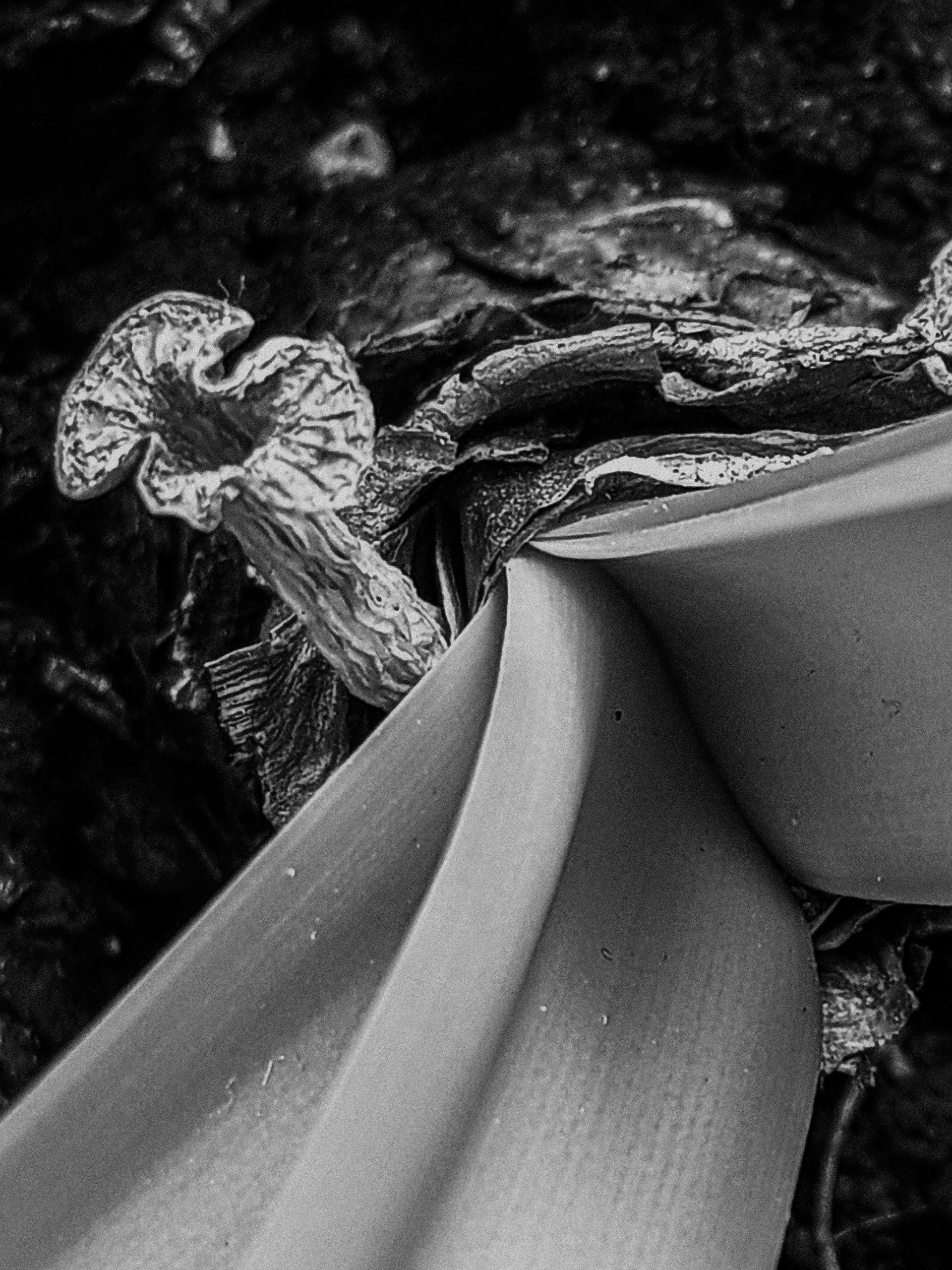 Тренируем мозг. Ирина Чайка. Профессиональный фотограф и наставник экспертов