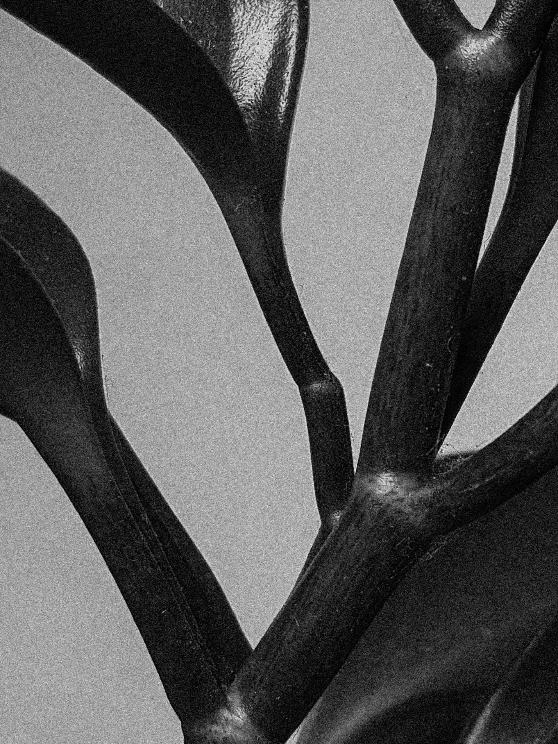 Тренируем мозг. Ирина Чайка. Профессиональный фотограф и наставник экспертов