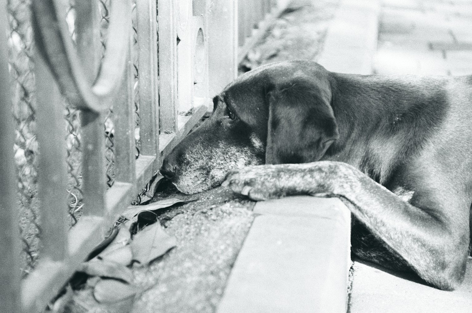 Морские прогулки с Nikon N8008. Artkapella|Олег Кузнецов