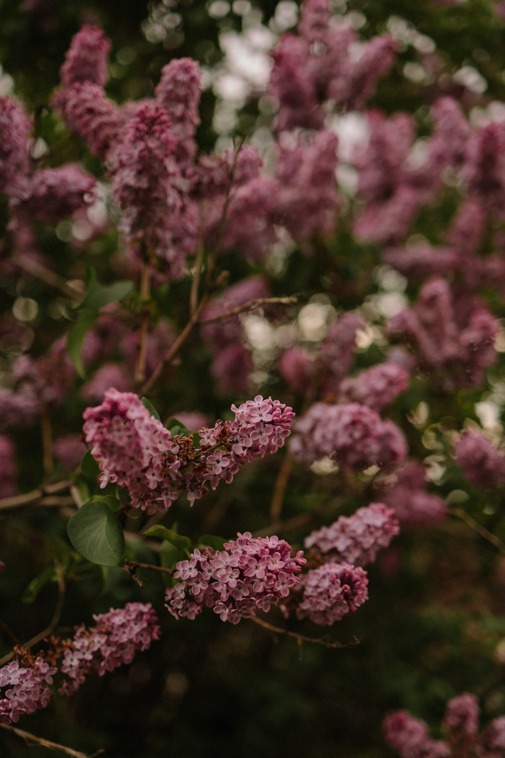 Фотопрогулки по Нижнему Новгороду. Фотограф и видеограф Елена Лисина
