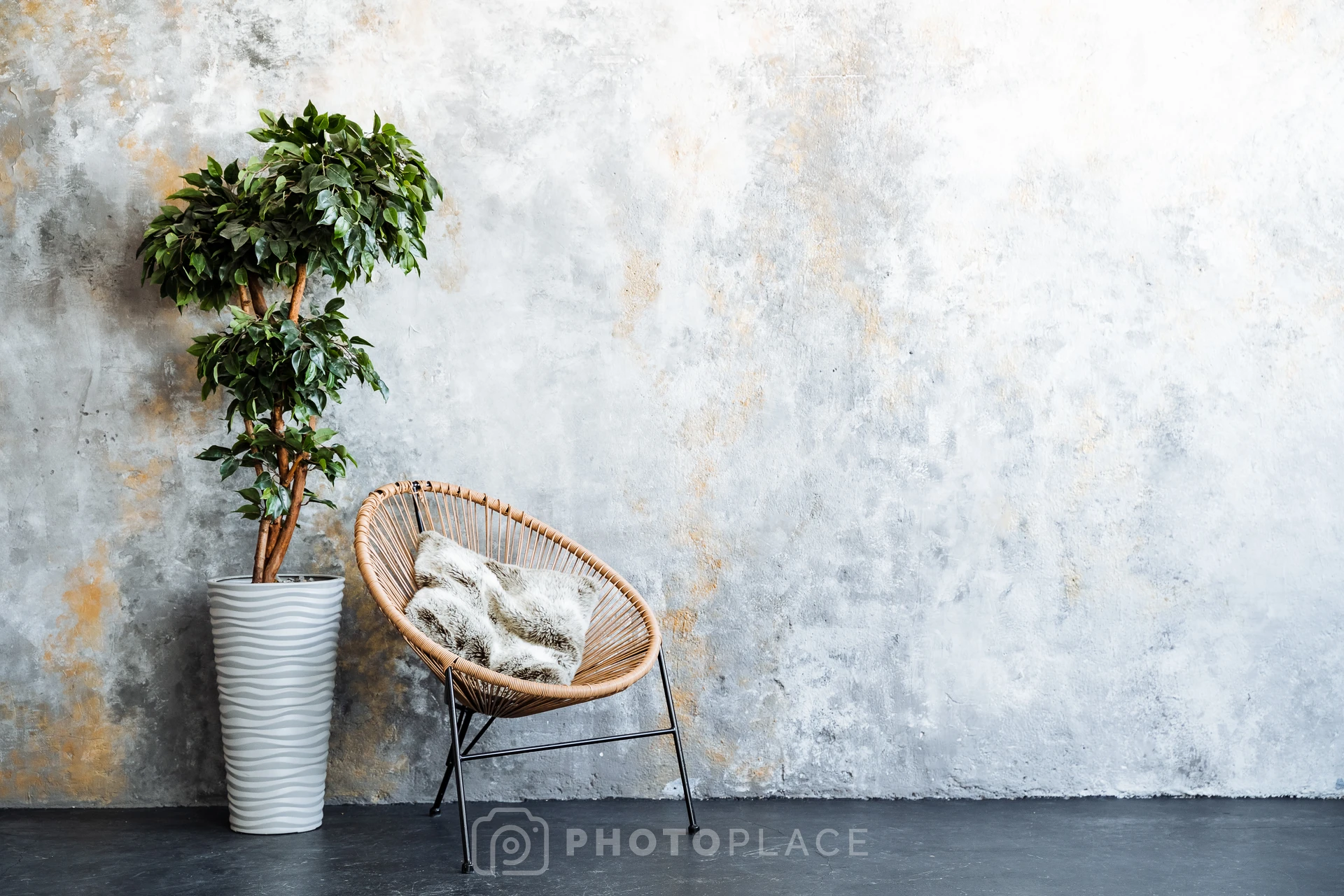 Фотостудия Focus в Уфе