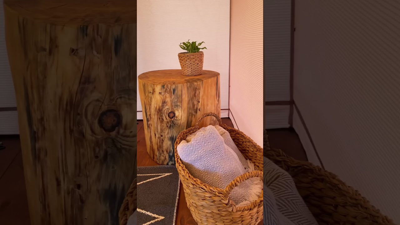 Видеоконтент для продвижения бизнеса в интернете. Студия контента «СВОЕ МЕСТО»