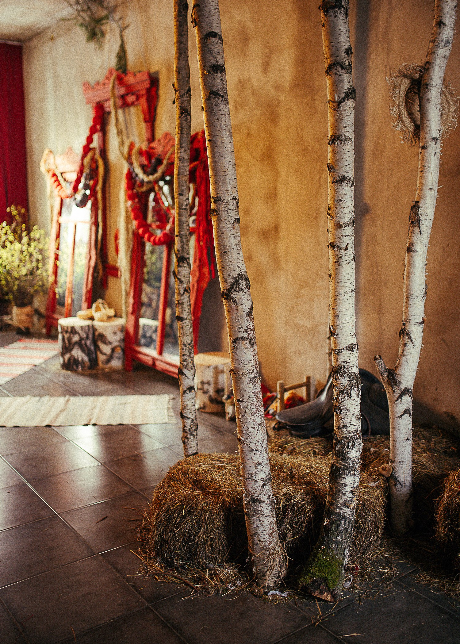 Фотостудия «Зачарованный Сад» в 20 минутах от центра Екатеринбурга