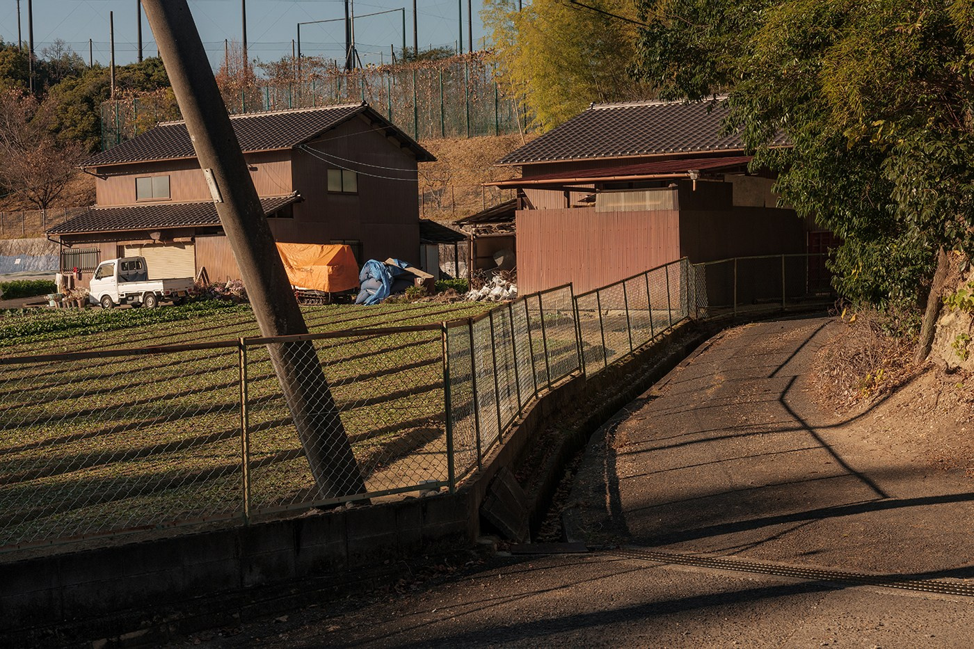 Sensing Japan. Documentary and art photographer Alexey Terentyev