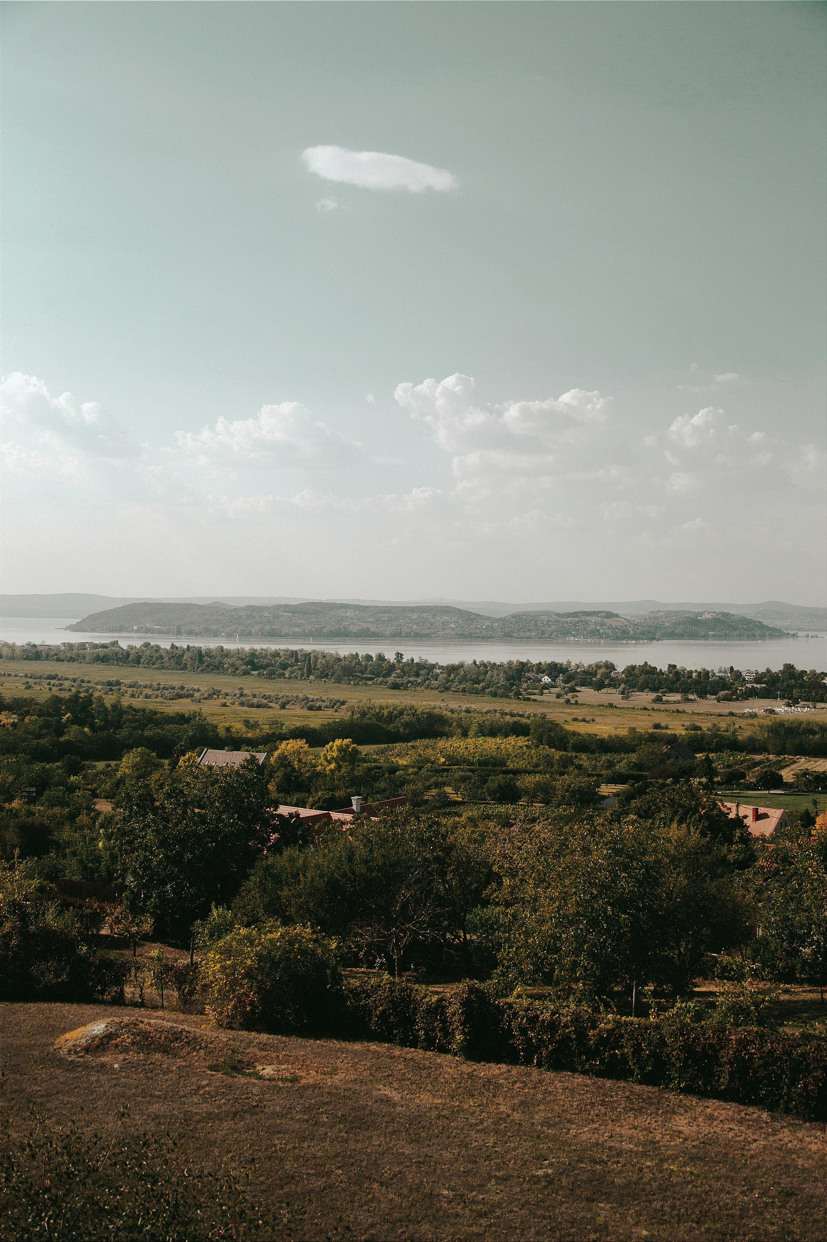 DAYTIME LANDSCAPE