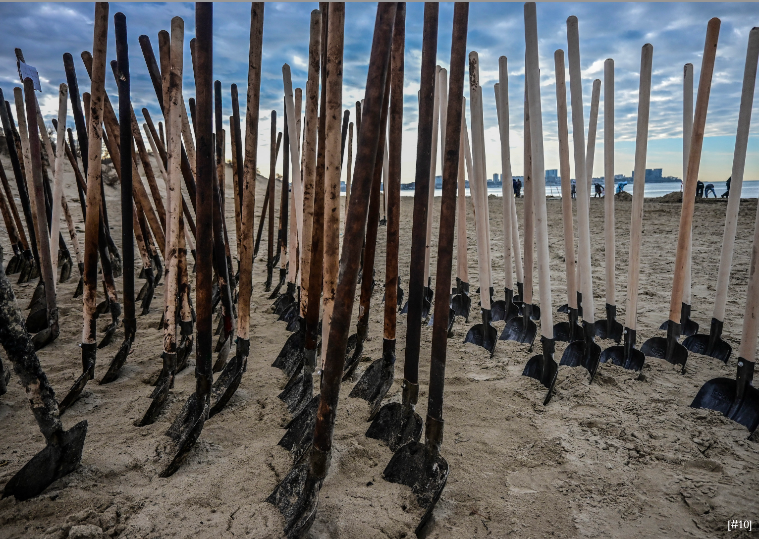 Курс Олега Колимбета: Сторителлинг и создание визуальных нарративов. Самоорганизация Низина