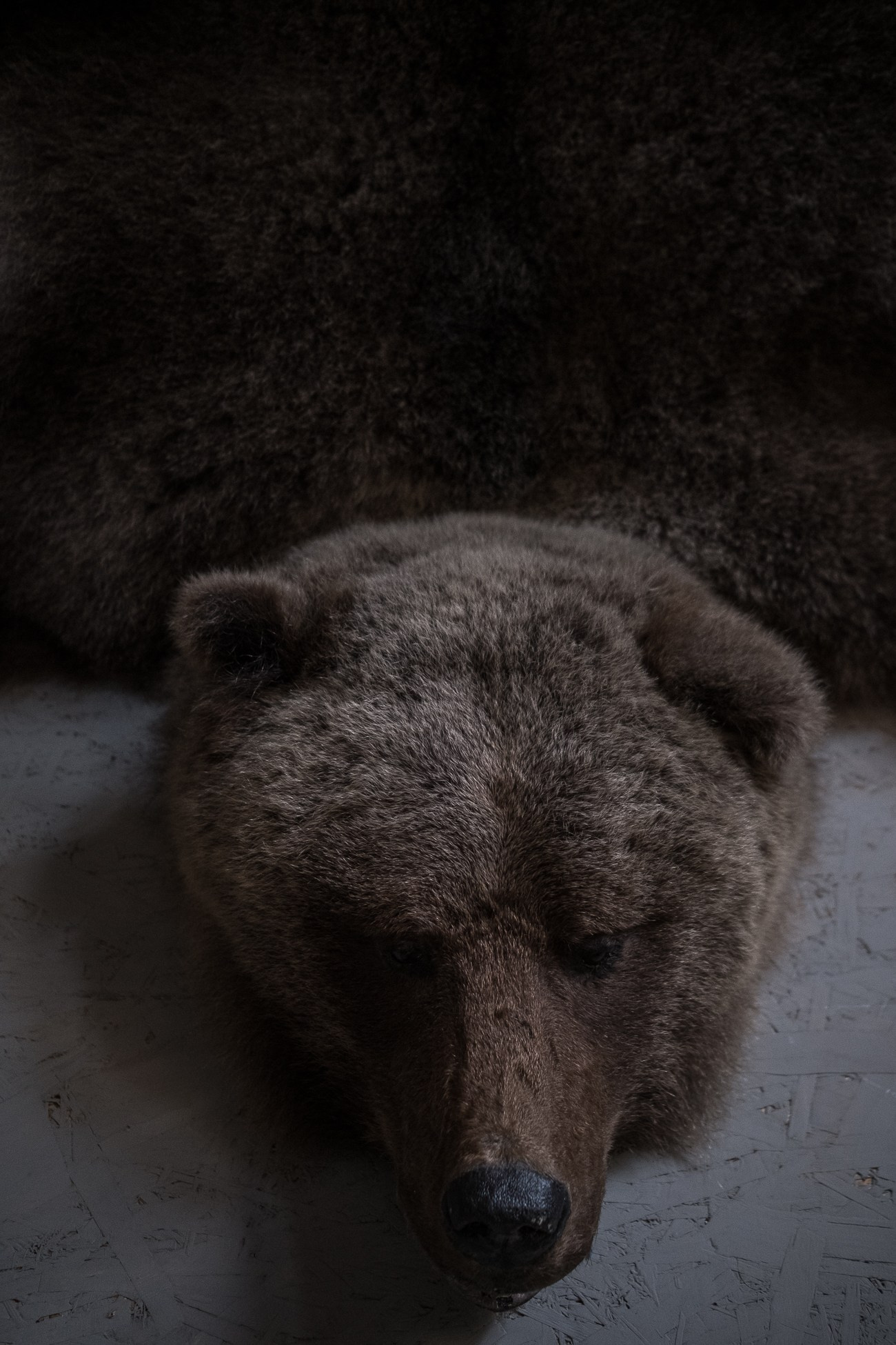 Treasure Trove. Natasha Lozinskaya | Photographer