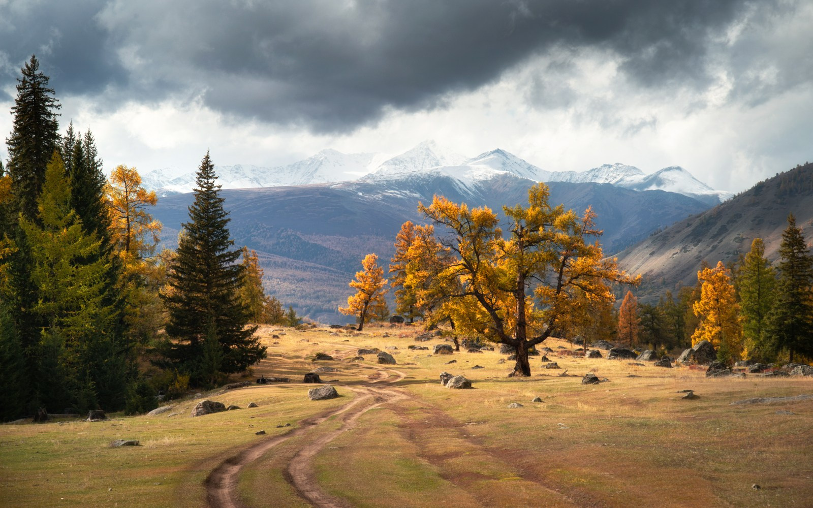Осенний Горный Алтай. Профессиональный пейзажный фотограф Алёна Рубан