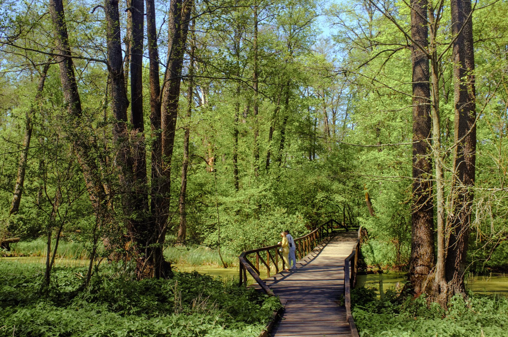 Руслан Шувалов (поэтограф)