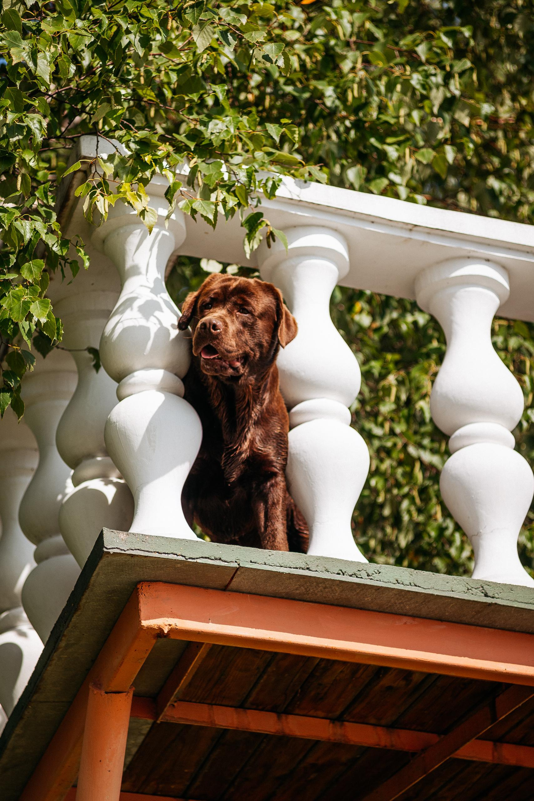 АМУР РЕЗОРТ. СВОИ. ФОТООТЧЕТЫ-СОБЫТИЯ-МЕСТА