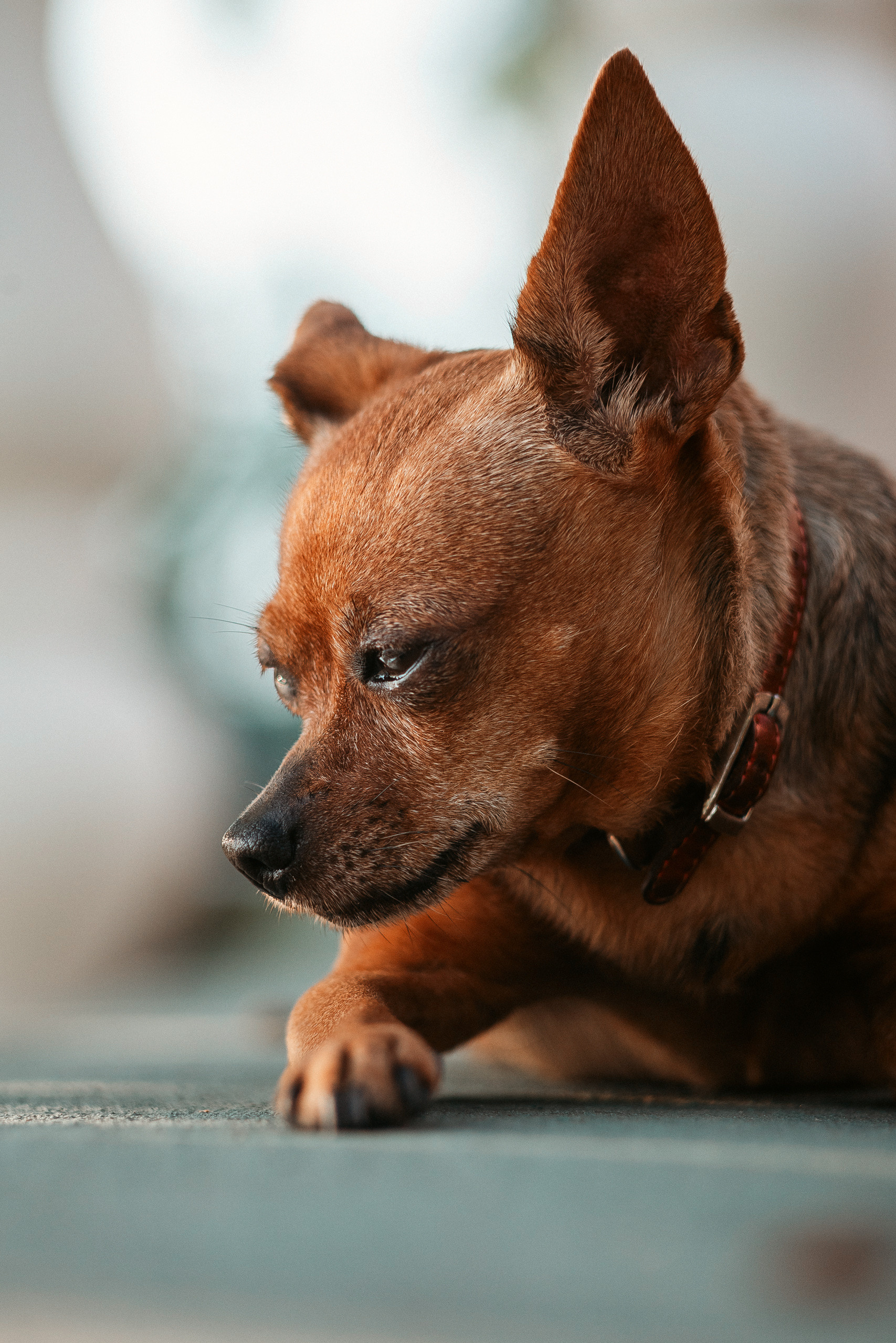 АМУР РЕЗОРТ. СВОИ. ФОТООТЧЕТЫ-СОБЫТИЯ-МЕСТА