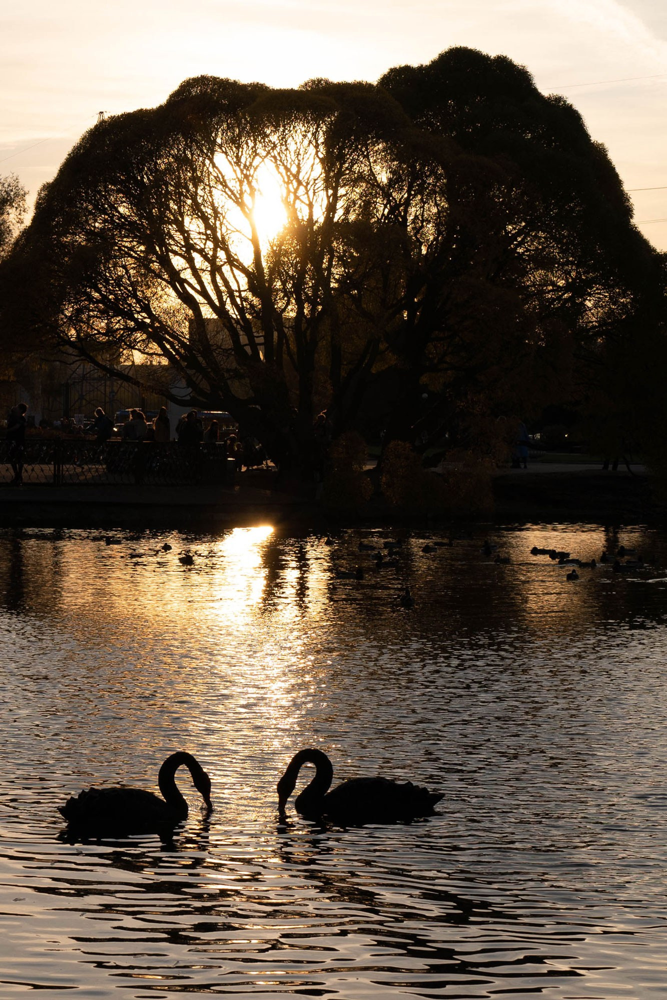 Обучение. Рекламный фотограф