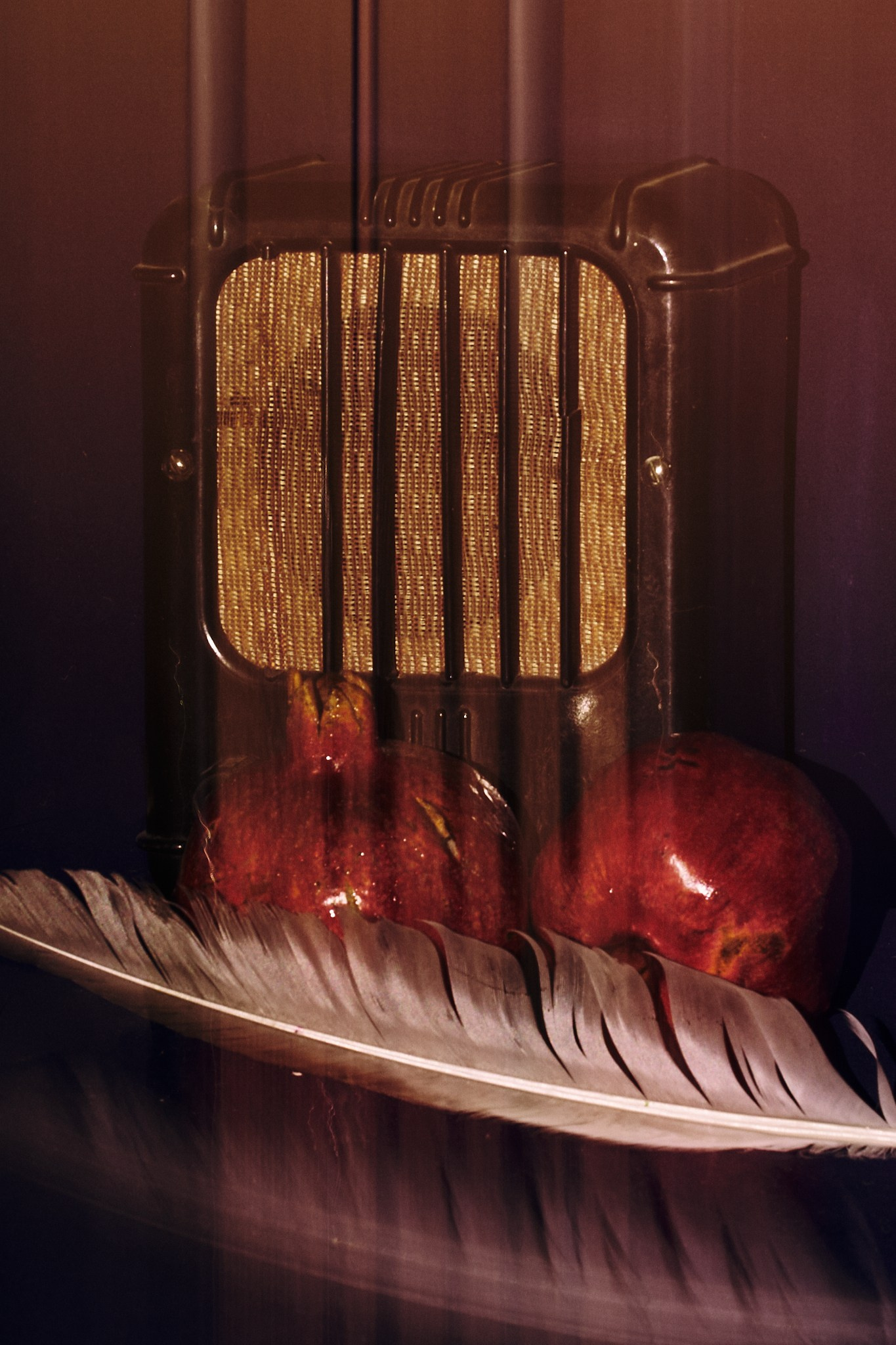 Фотограф Даниил Богомолов, Санкт-Петербург