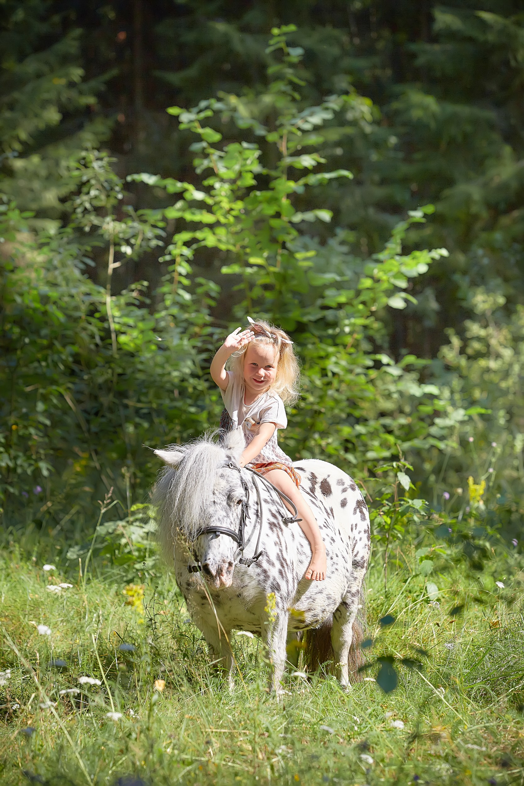 Фотосессия с лошадьми Фотограф Михаил Семенов, г. Ярославль